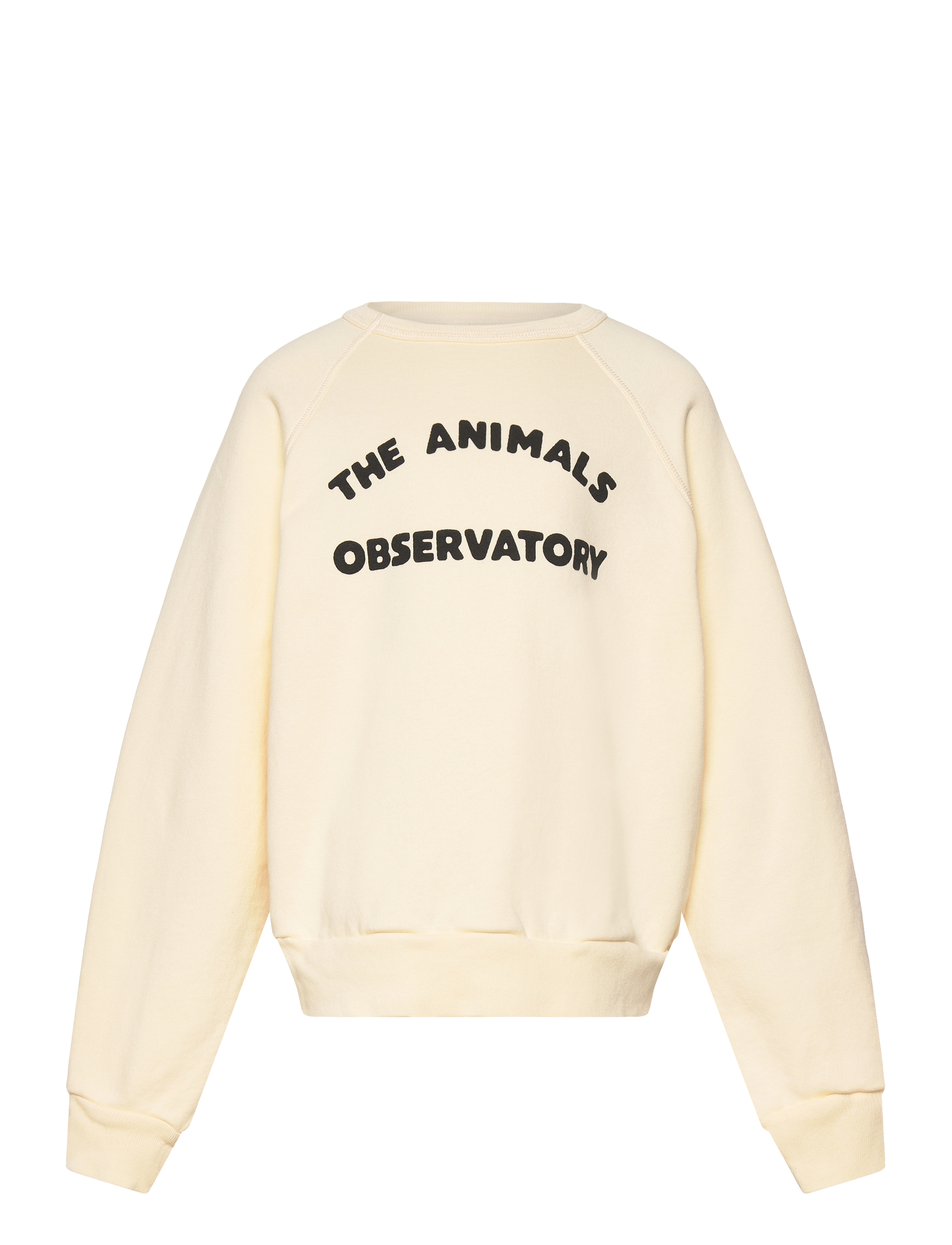 THE ANIMALS OBSERVATORY - Shark Kid