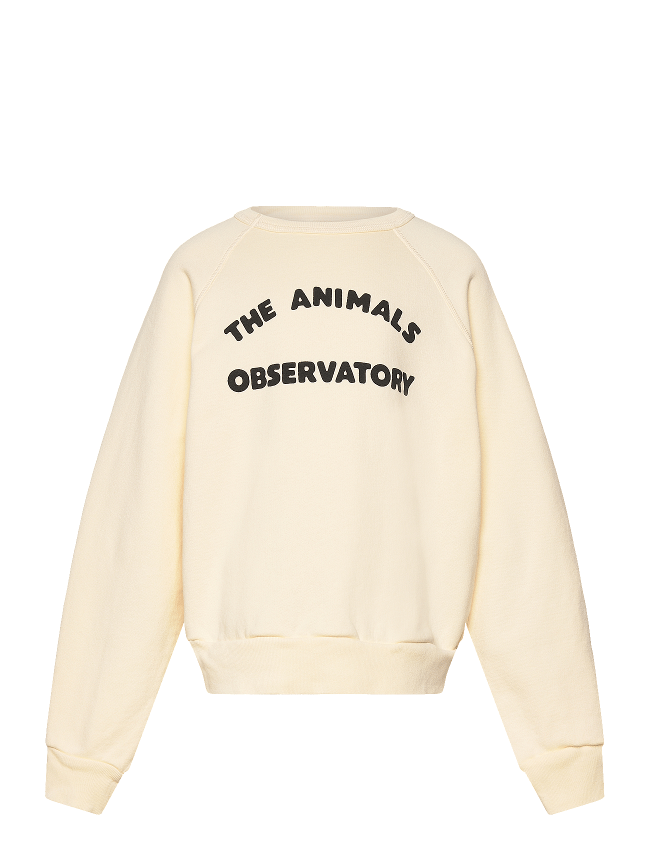 THE ANIMALS OBSERVATORY - Shark Kid