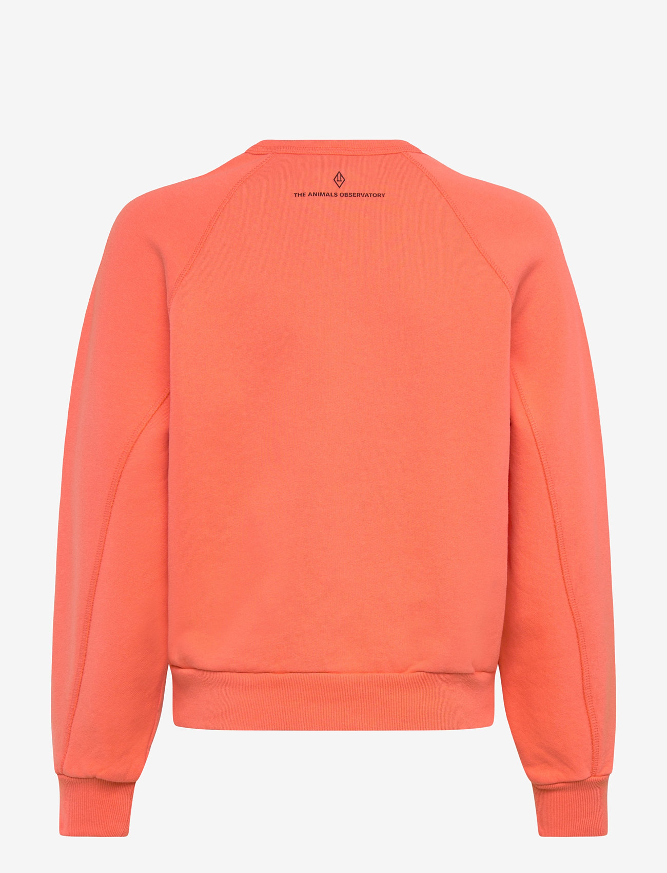 THE ANIMALS OBSERVATORY - SHARK KID SWEATSHIRT Salmon - sweatshirts - salmon - 1