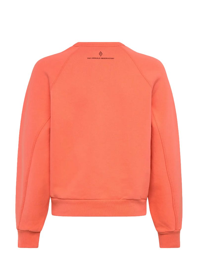 THE ANIMALS OBSERVATORY - SHARK KID SWEATSHIRT Salmon - sweatshirts - salmon - 1