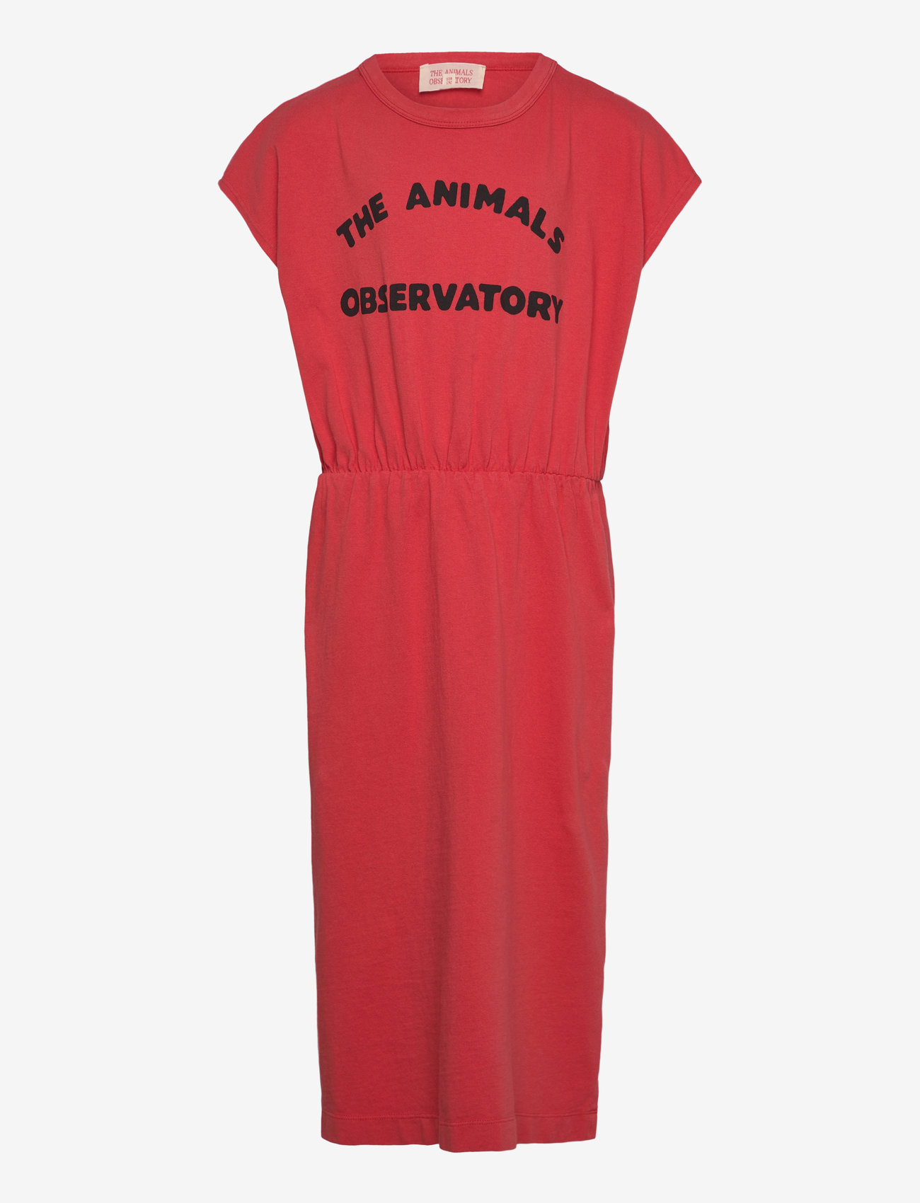 THE ANIMALS OBSERVATORY - ORCA KID MIDI DRESS Red - spódnice do kolan i midi - red - 1