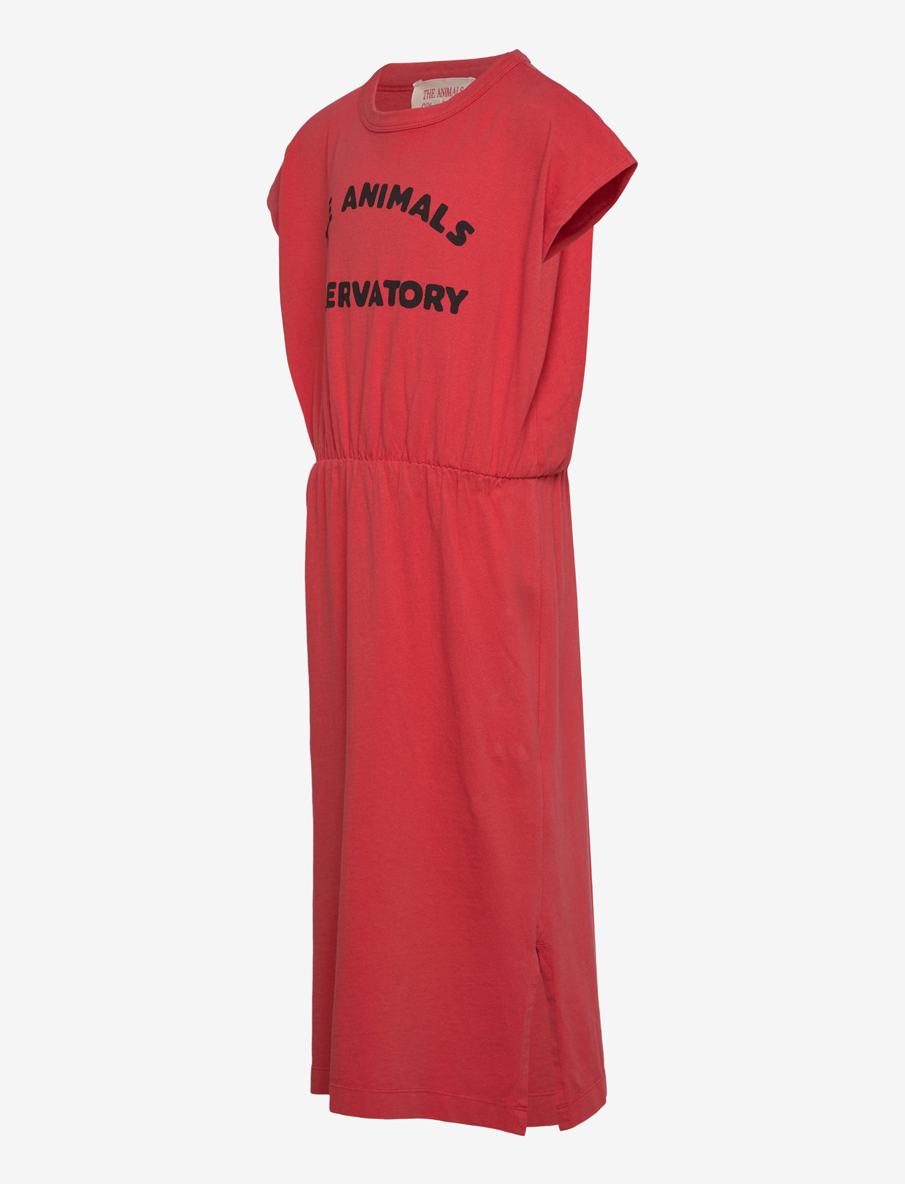 THE ANIMALS OBSERVATORY - ORCA KID MIDI DRESS Red - spódnice do kolan i midi - red - 3