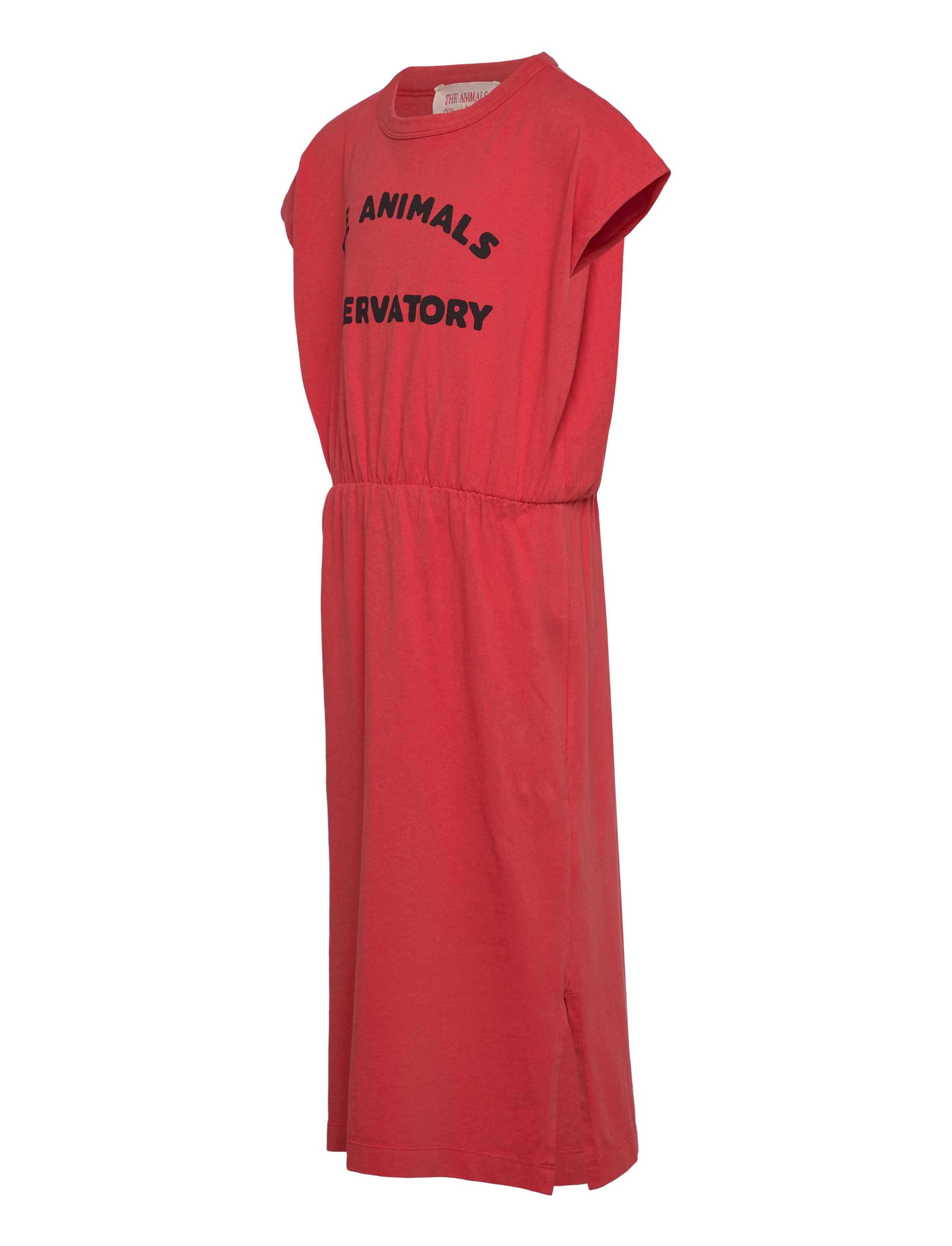 THE ANIMALS OBSERVATORY - ORCA KID MIDI DRESS Red - midi nederdele - red - 3