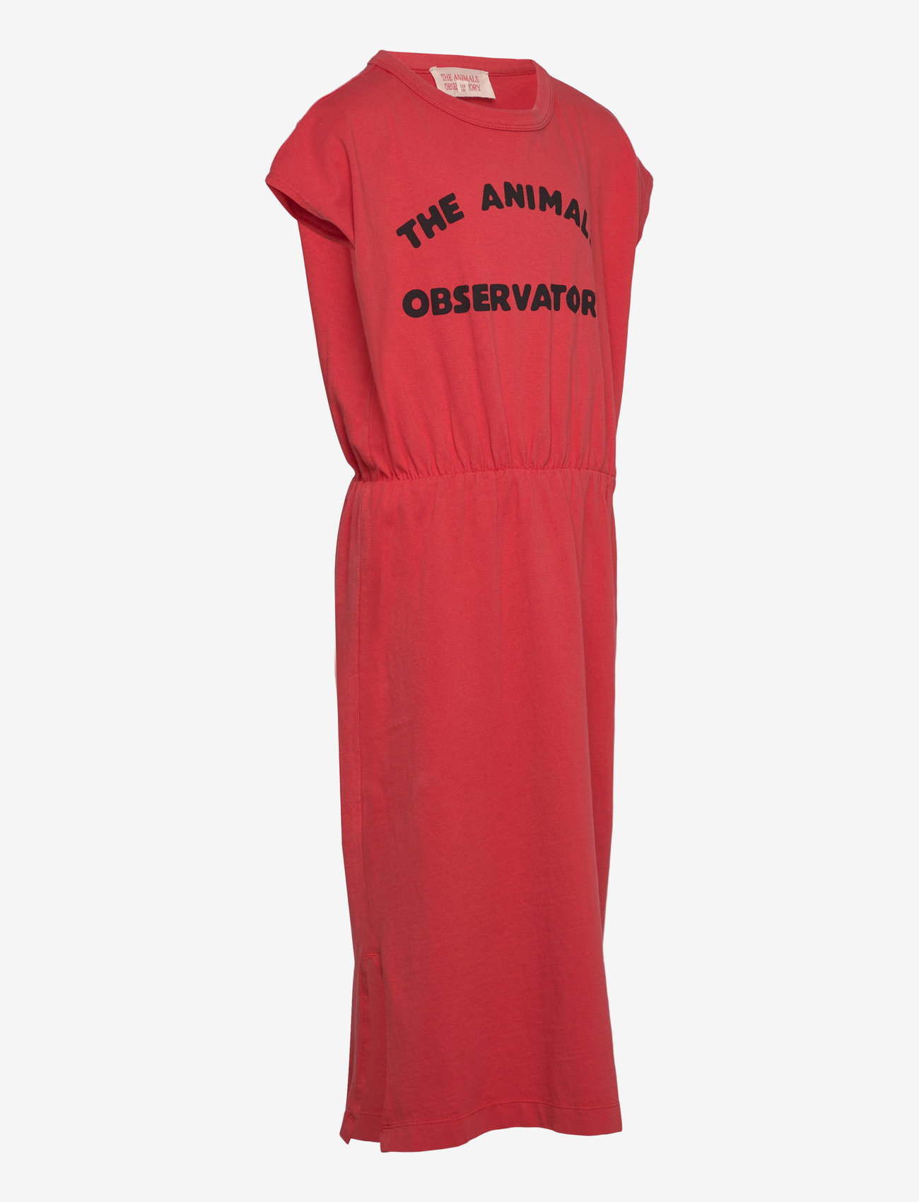 THE ANIMALS OBSERVATORY - ORCA KID MIDI DRESS Red - spódnice do kolan i midi - red - 4
