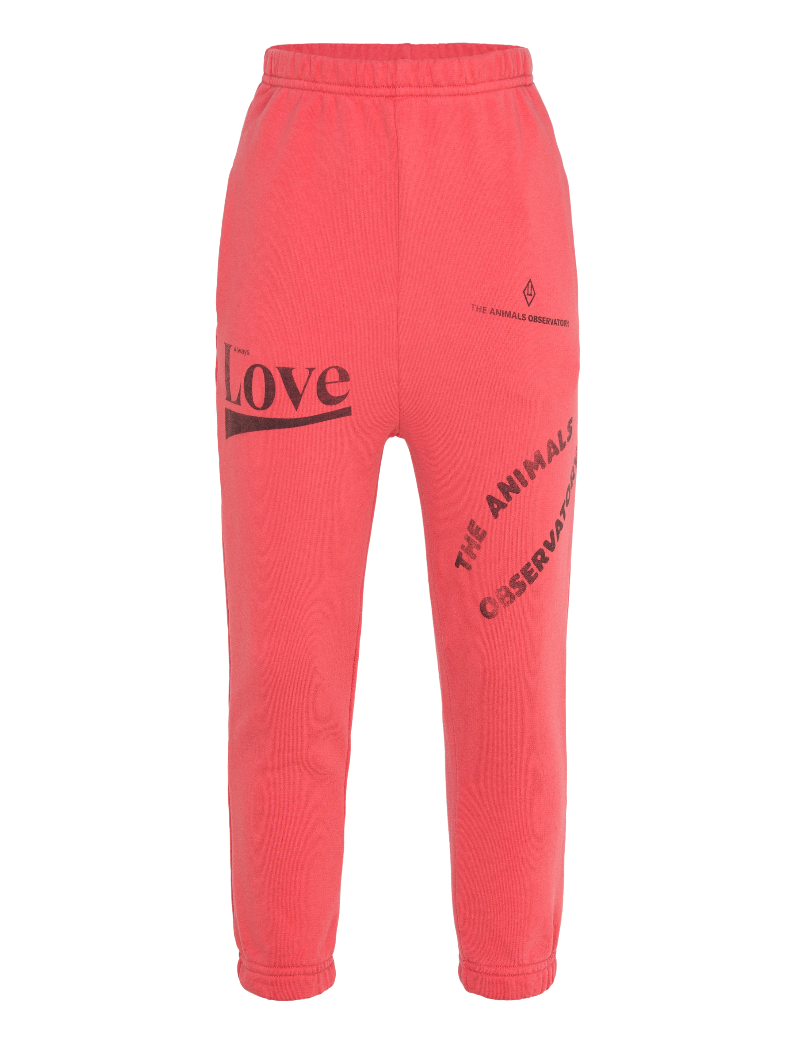 THE ANIMALS OBSERVATORY Dromedary Kid Jogginghose Rot Rot - 10 Y - Kinder