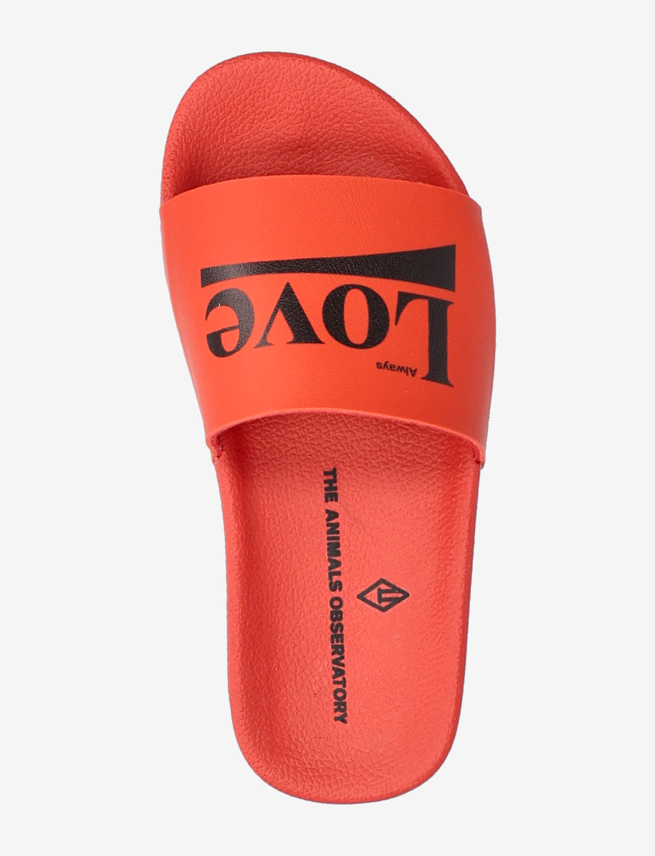 THE ANIMALS OBSERVATORY - FLIP-FLOOPS KID SHOES Red - hjemmesko - red - 4