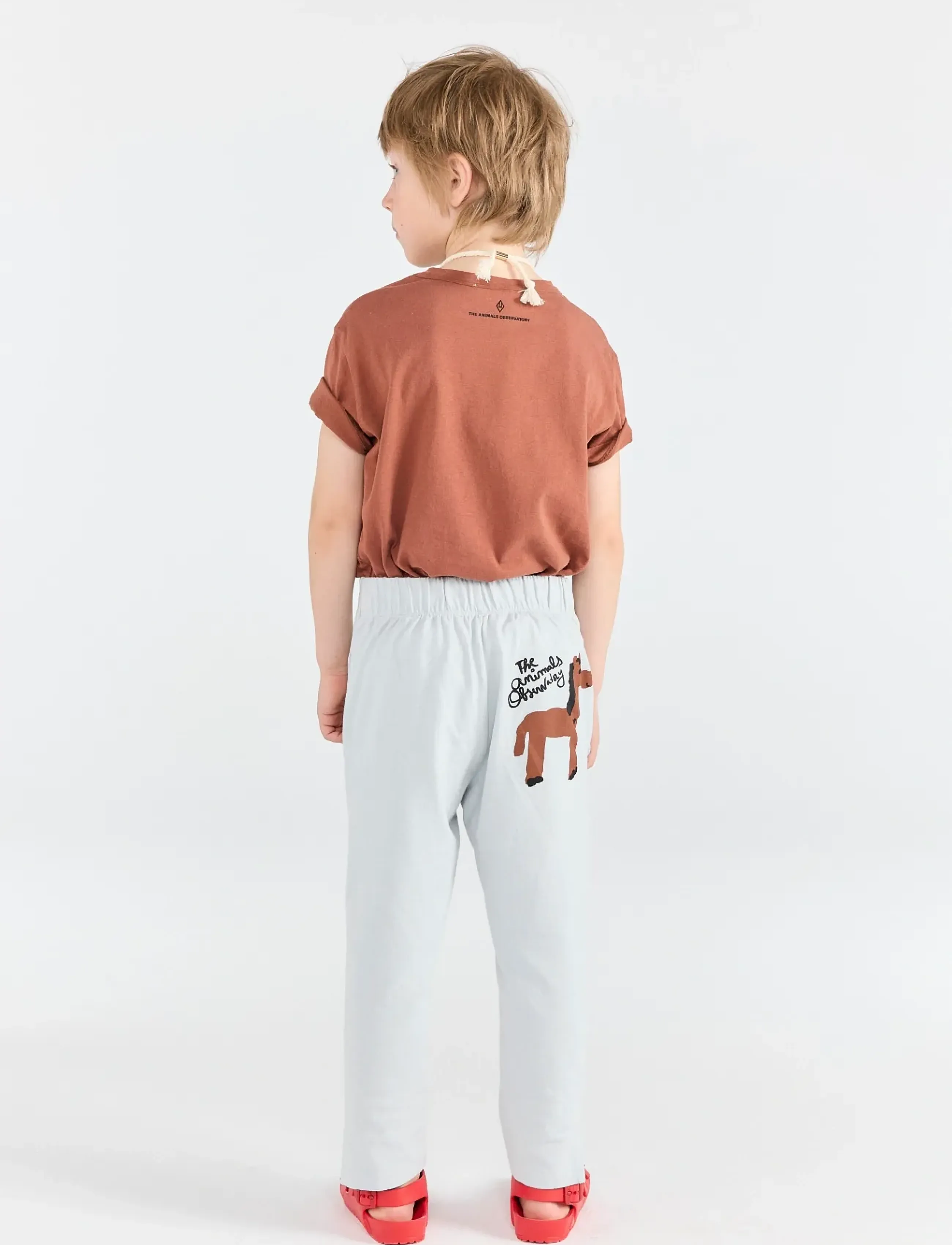 THE ANIMALS OBSERVATORY - HORSE KID PANTS BROWN STRIPES - sweatpants - blue - 3