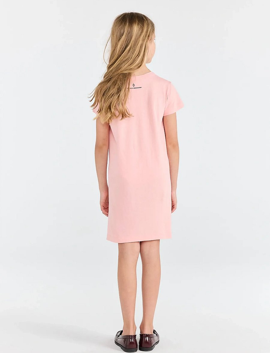THE ANIMALS OBSERVATORY - GORILLA KID DRESS BLUE - casual jurken met korte mouwen - soft pink - 3