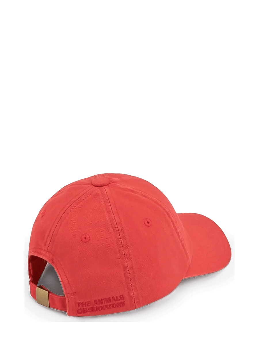 THE ANIMALS OBSERVATORY - HAMSTER KID CAP FIG RED - kepsar - fig red - 2