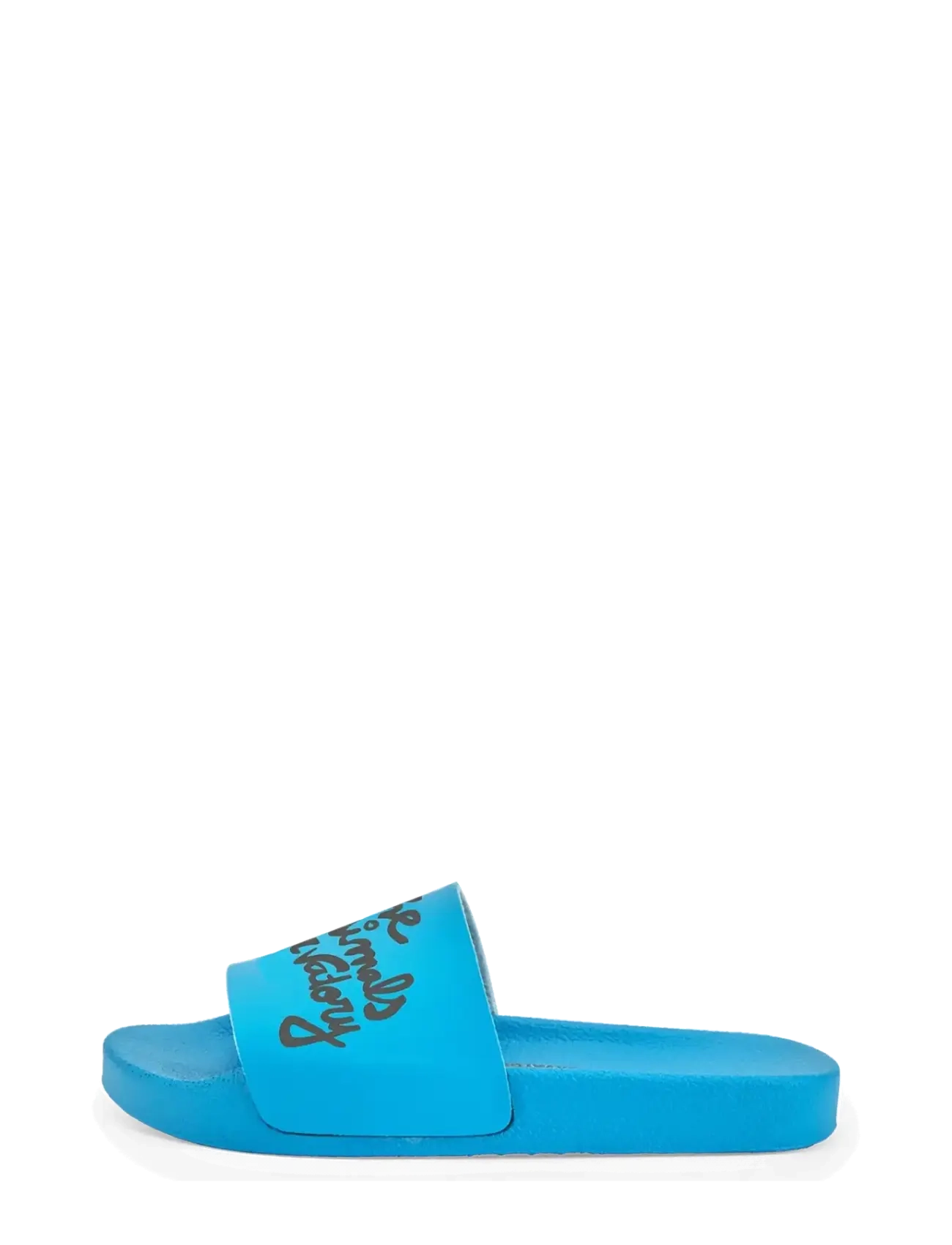 THE ANIMALS OBSERVATORY - SPOONBILL KID SHOES BLUE - badelatschen - blue - 2