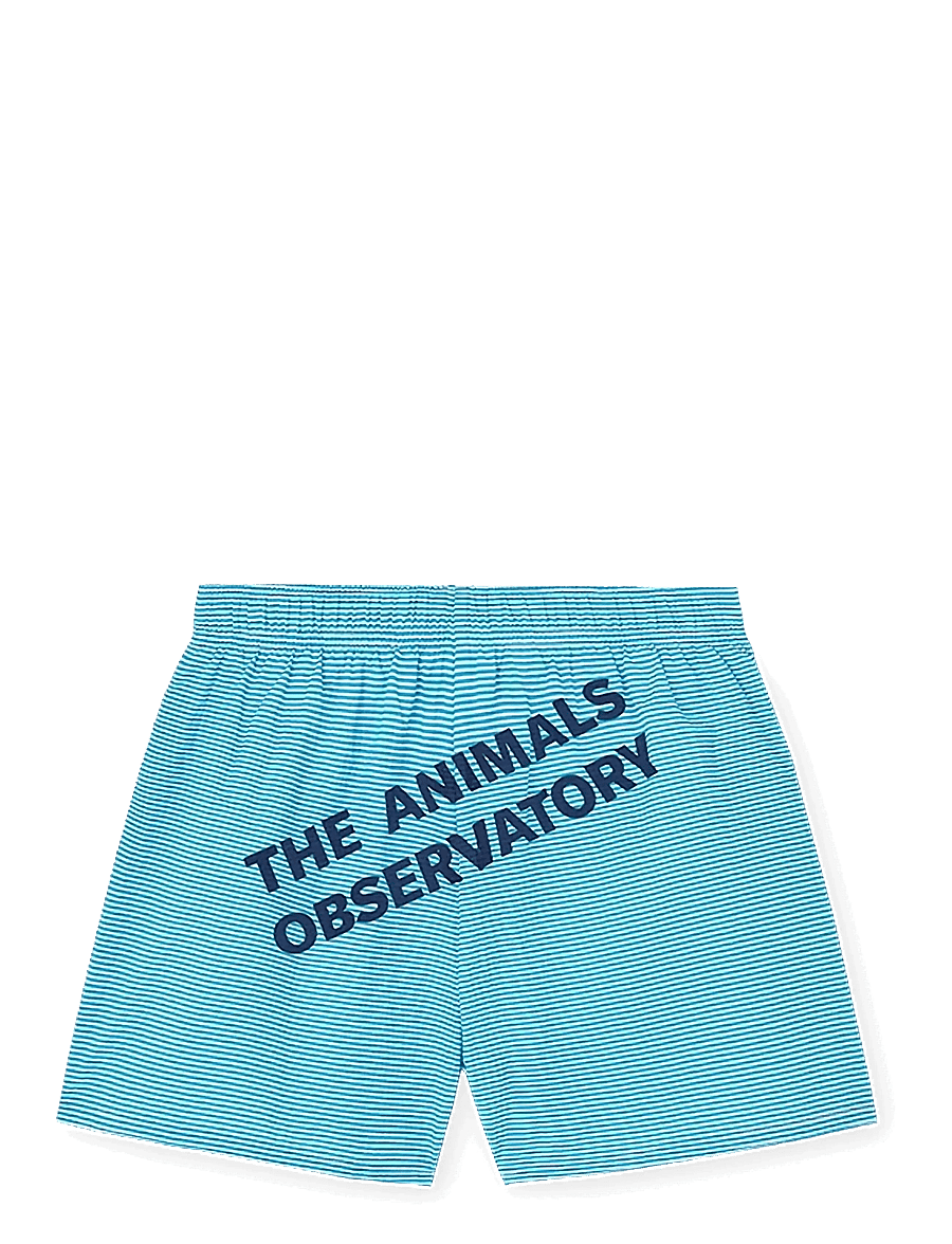 THE ANIMALS OBSERVATORY - GAVIAL KID SHORTS BLUE - spodenki - blue - 2
