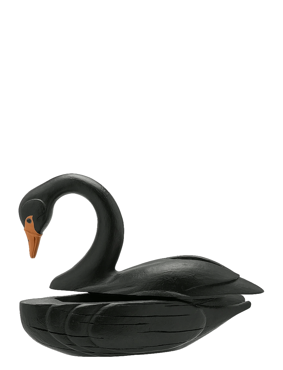 Anna + Nina - Black Swan Trinket Box - black - 1