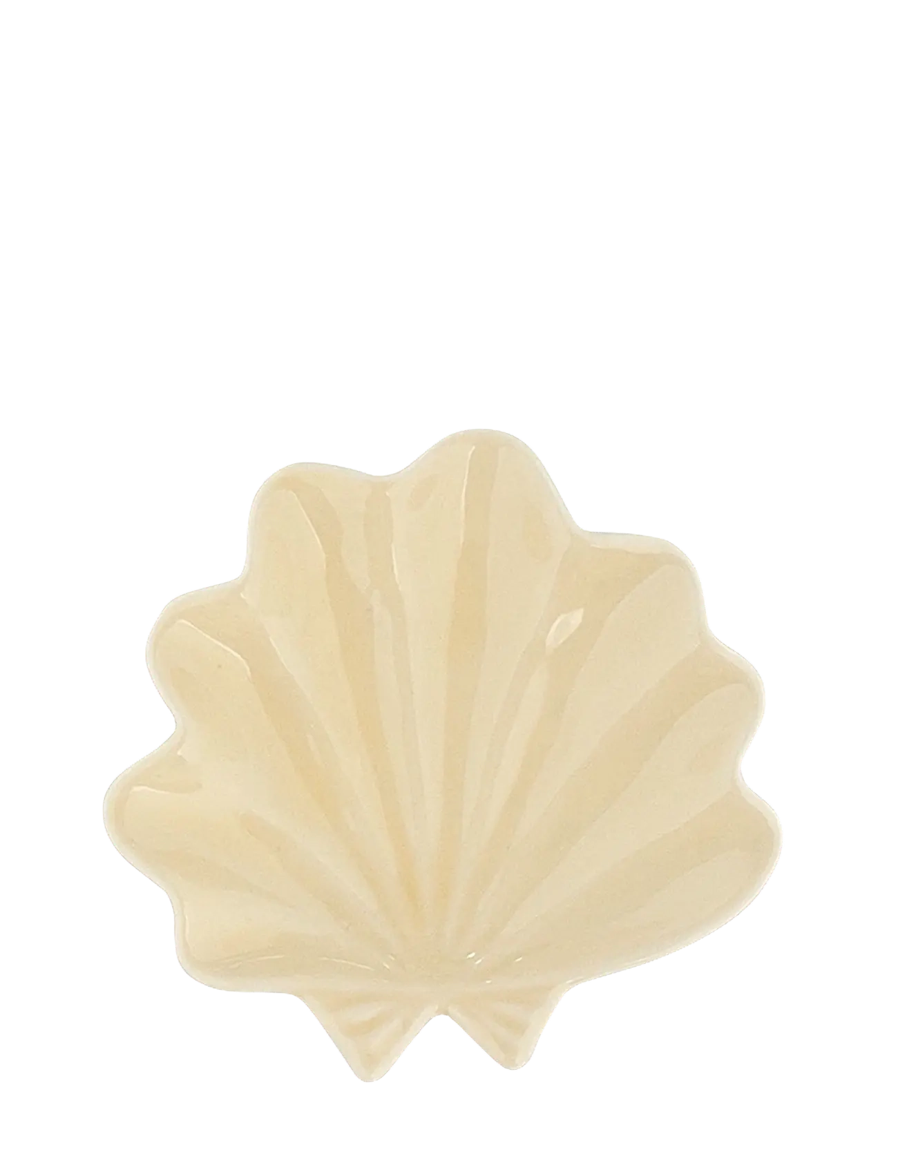 Anna + Nina Shell Trinket Dish - Anna + Nina - WHITE / cream