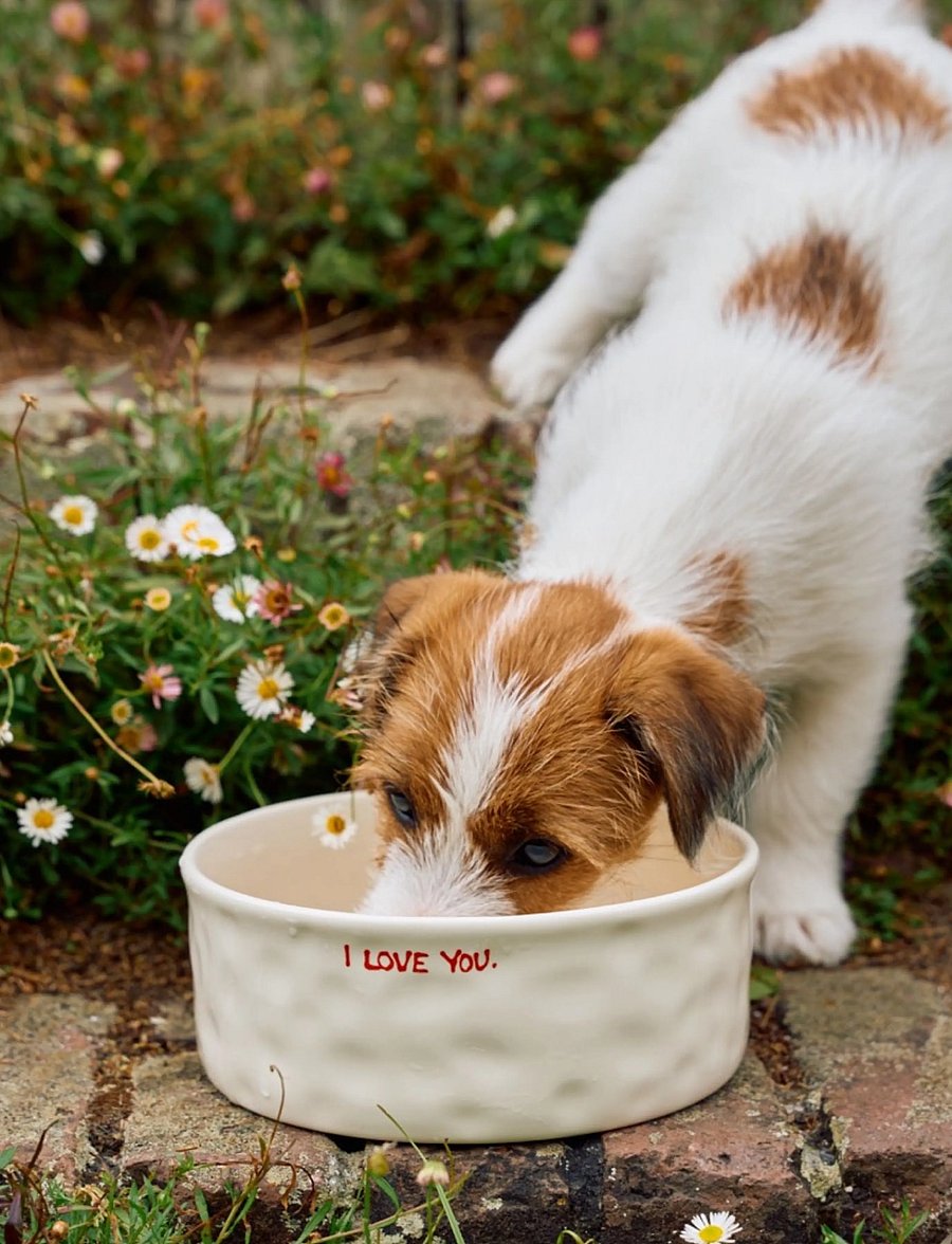 Anna + Nina - I Love You Pet Bowl - für die haustiere - white - 0
