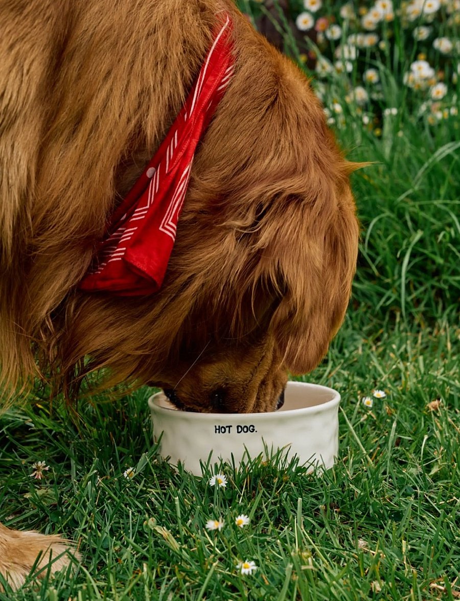 Anna + Nina - Hot Dog Pet Bowl - für die haustiere - white - 0