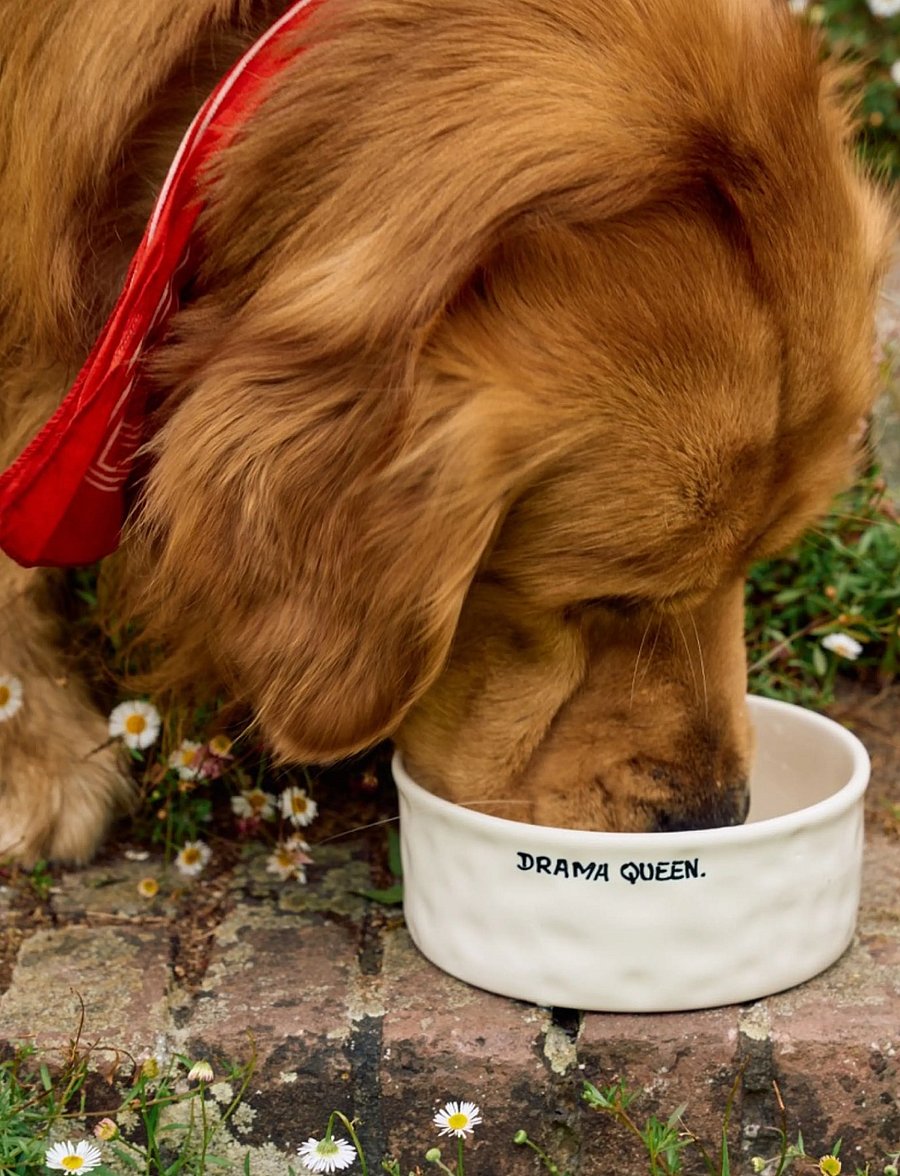Anna + Nina - Drama Queen Pet Bowl - für die haustiere - white - 0