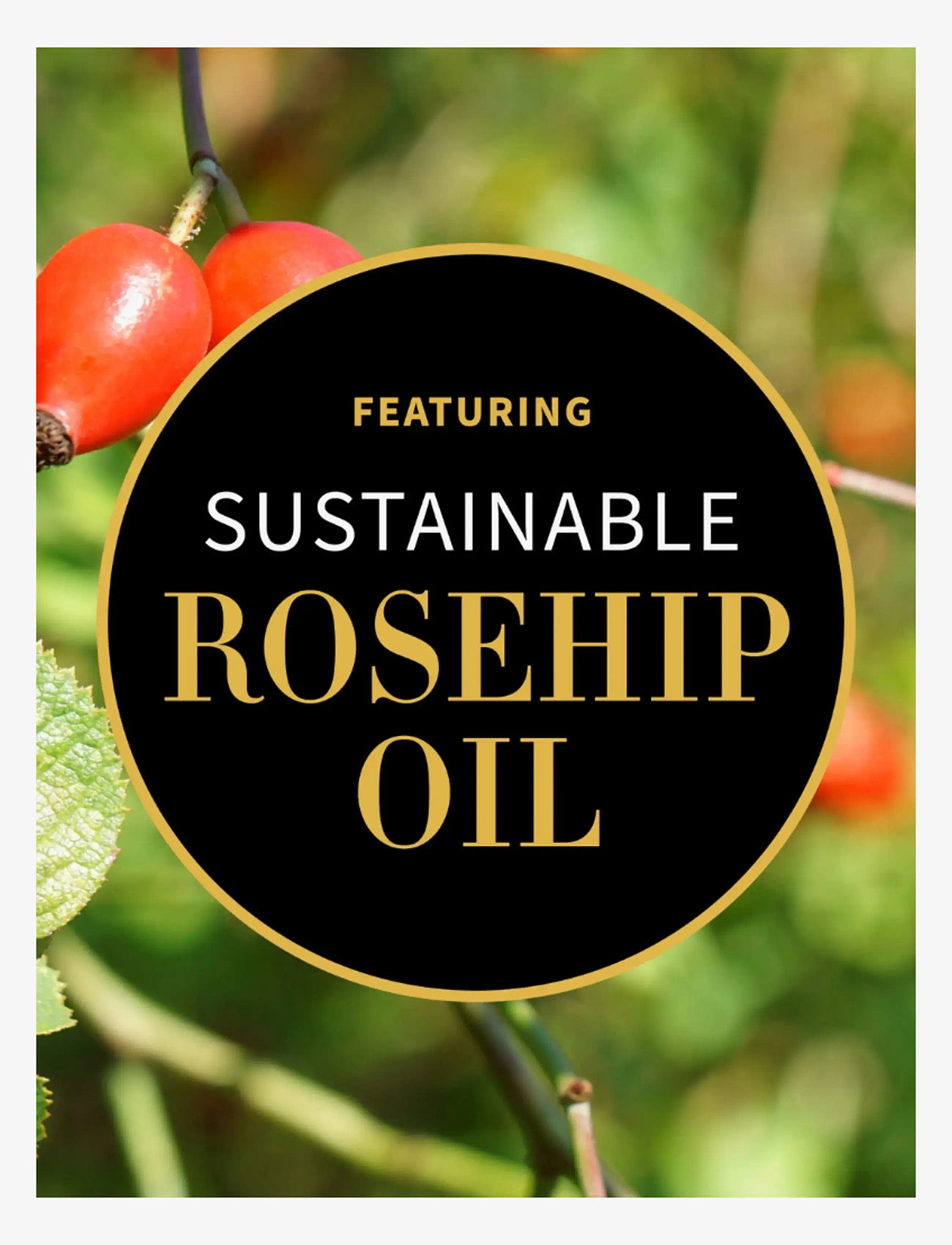 Antipodes - Vanilla Pod Hydrating Day Cream - päevakreemid - vanilla pod hydrating day cream - 2