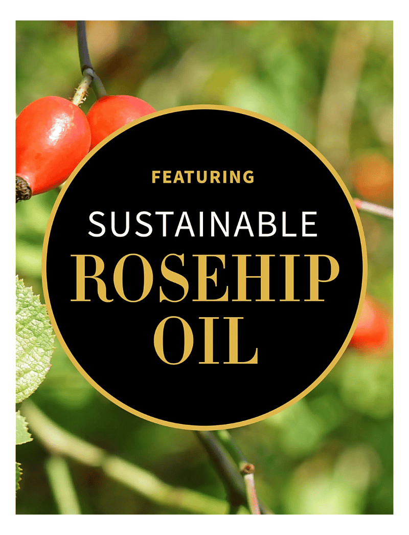 Antipodes - Vanilla Pod Hydrating Day Cream - päevakreemid - vanilla pod hydrating day cream - 2