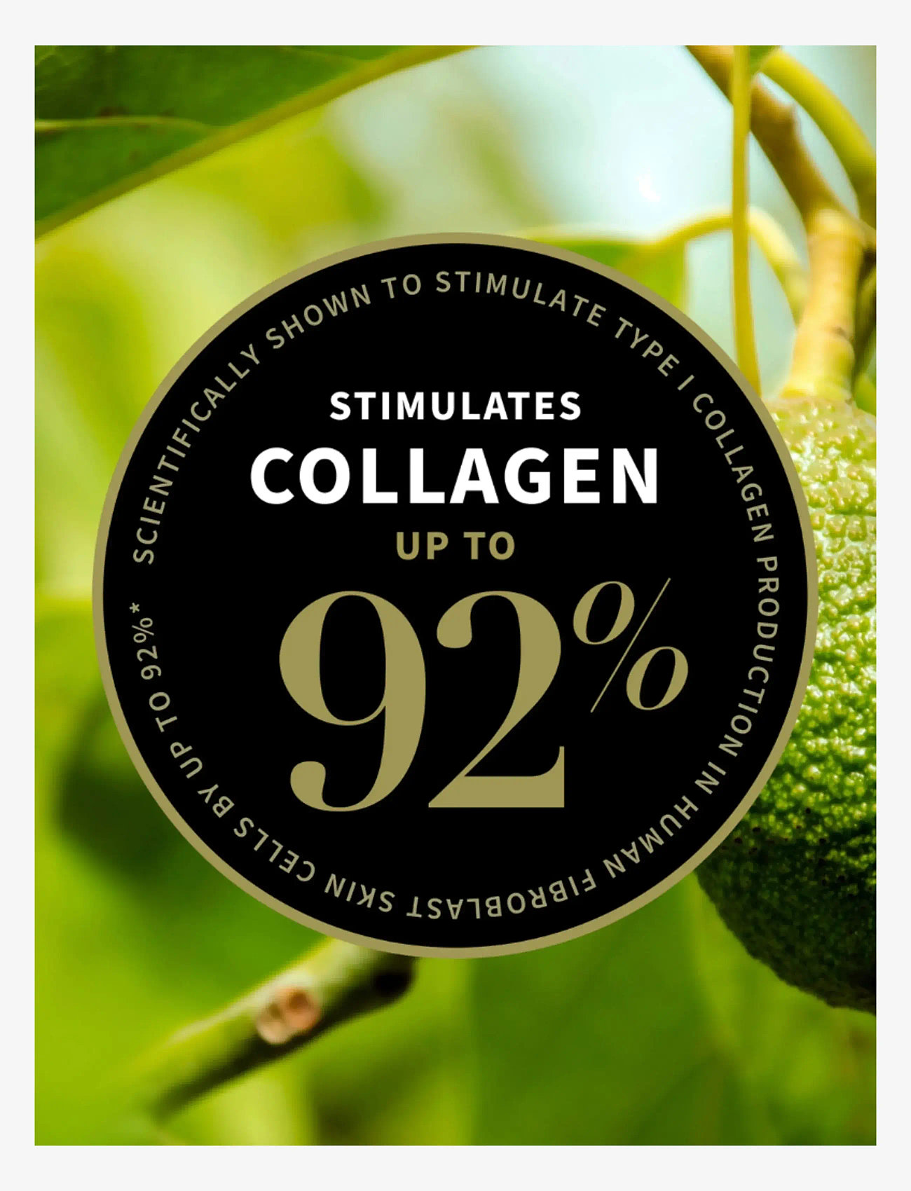Antipodes - Avocado Pear Nourishing Night Cream - night cream - avocado pear nourishing night cream - 2