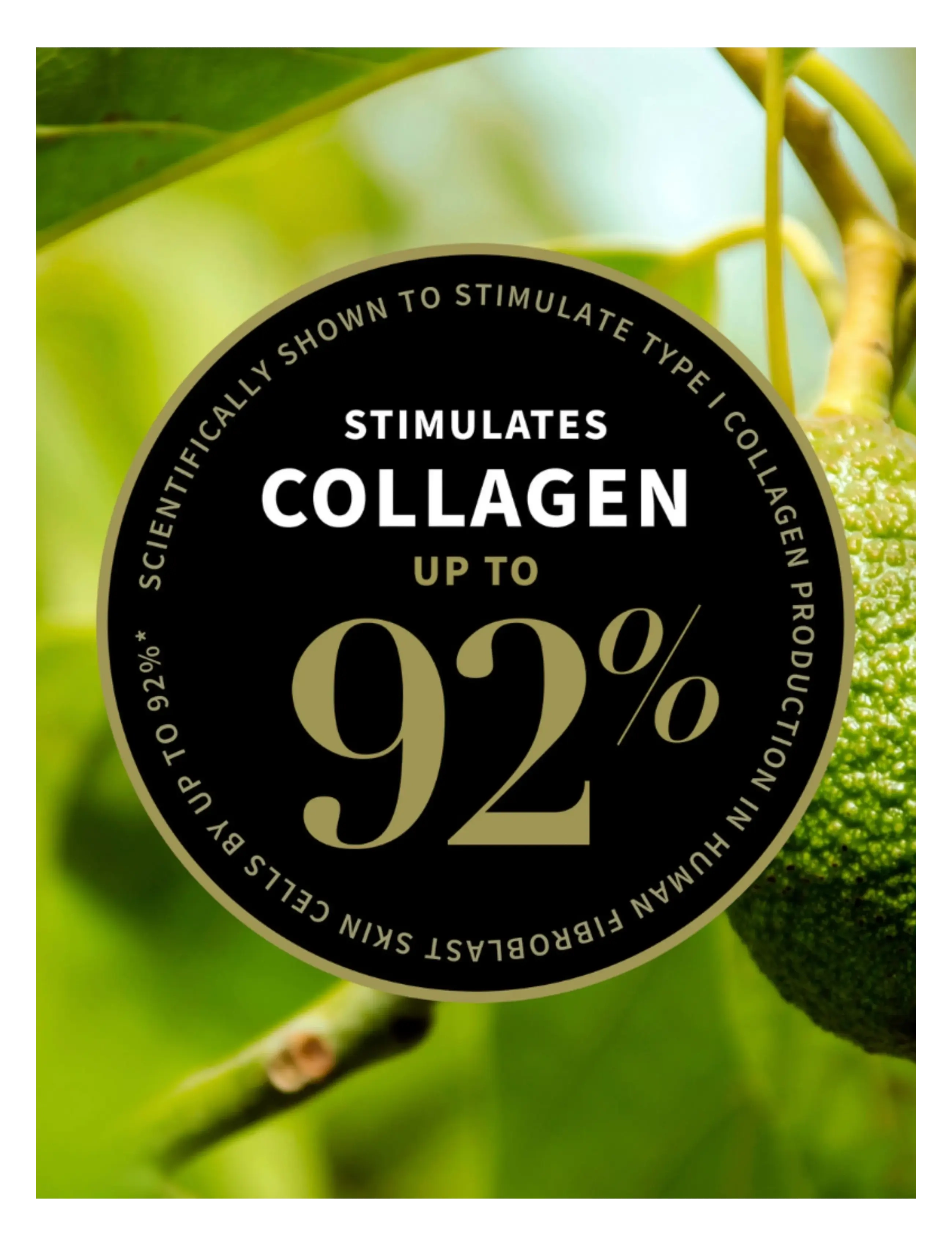 Antipodes - Avocado Pear Nourishing Night Cream - Öökreem - avocado pear nourishing night cream - 2