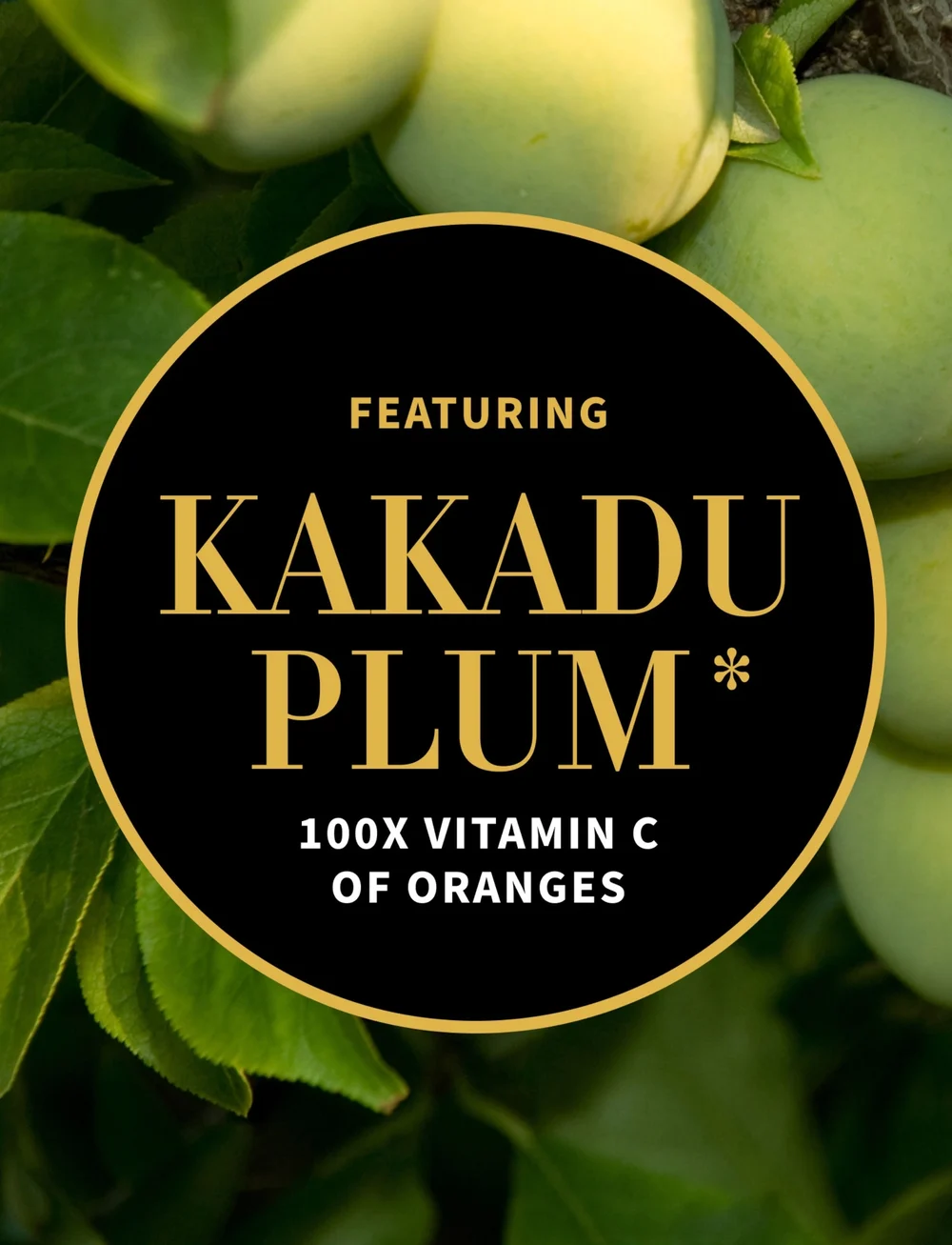 Antipodes - Glow Vitamin C Brightening Serum - serum - glow ritual vitamin c serum - 5