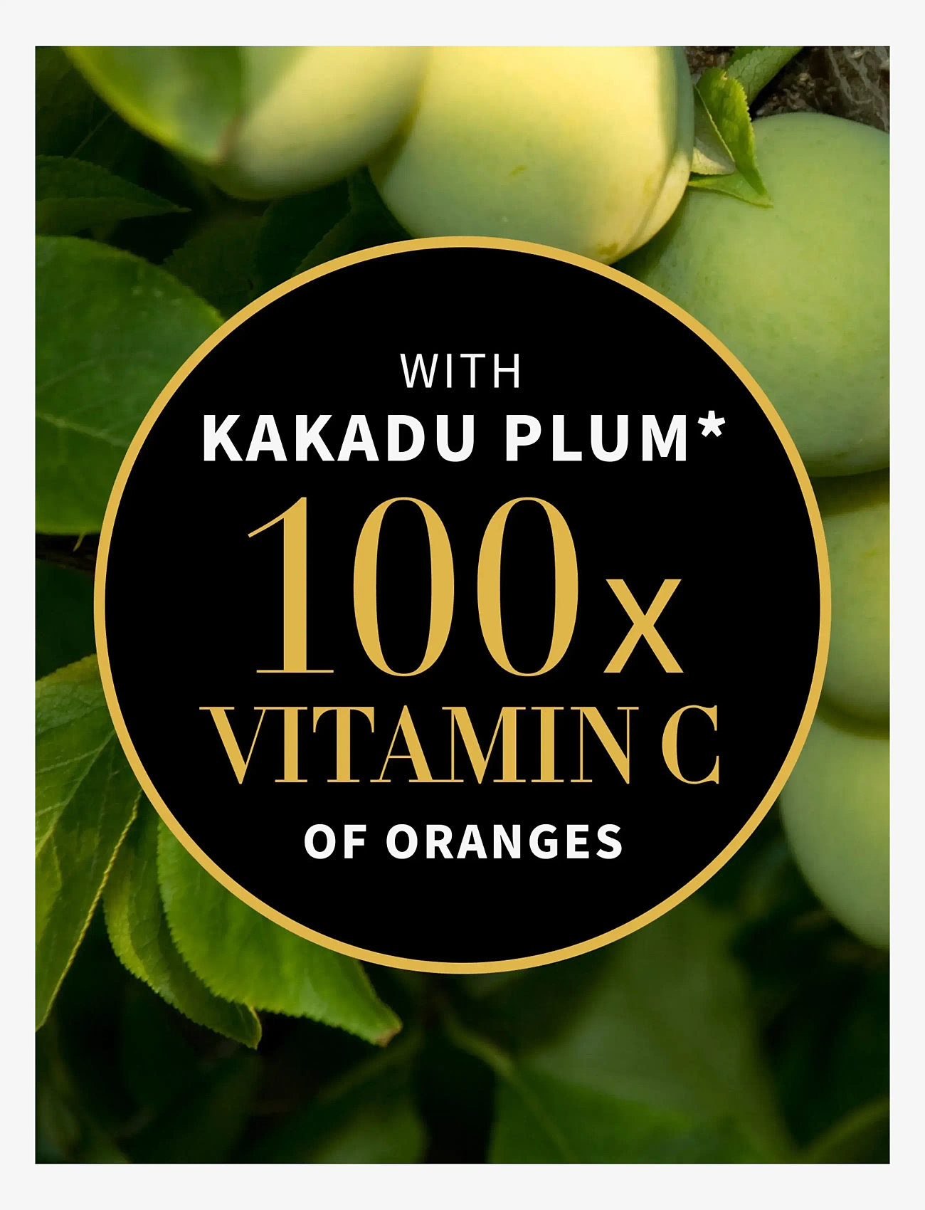 Antipodes - Kiwi Seed Gold Luminous Eye Cream - eye cream - kiwi seed gold luminous eye cream - 2