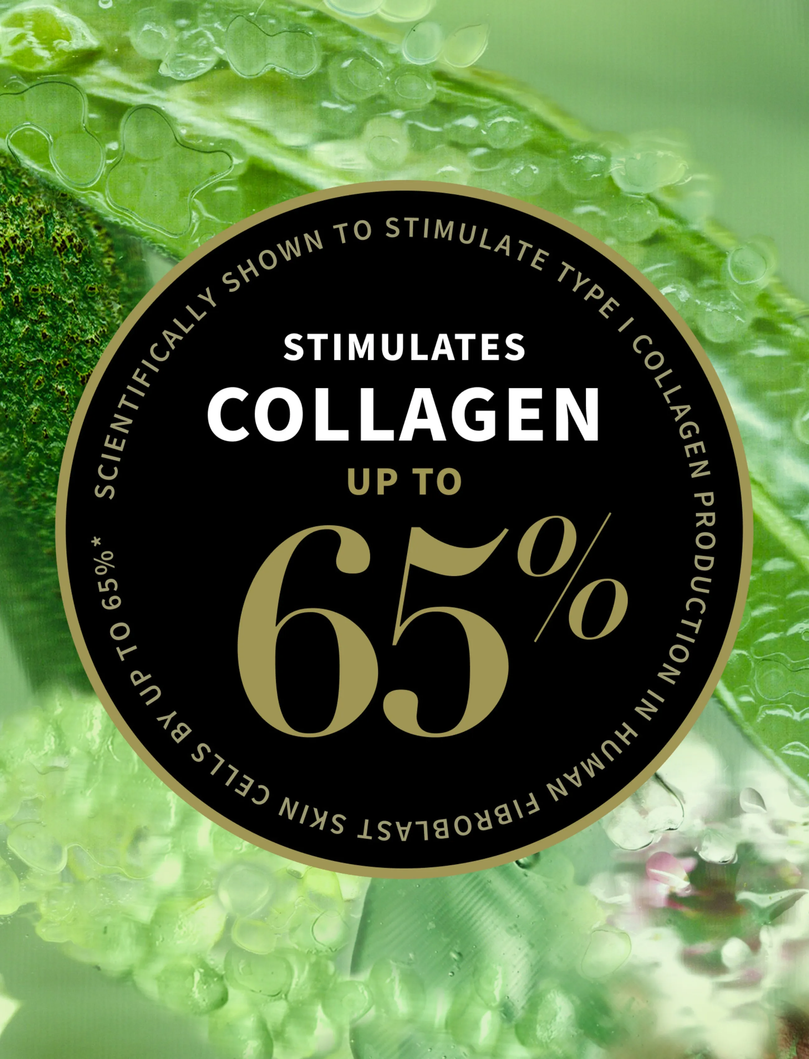 Antipodes - Lime Caviar Collagen-Rich Cream Mini - fuktpleie - clear - 3