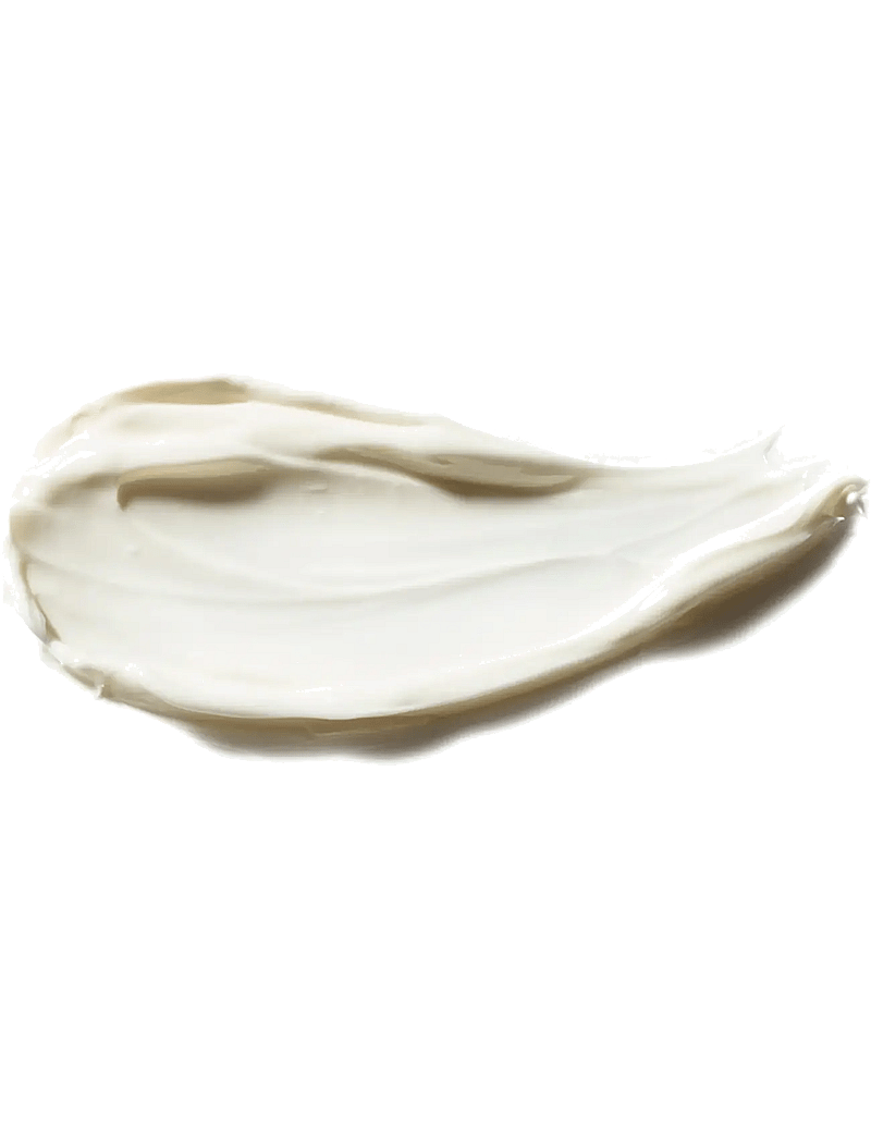 Antipodes - Vanilla Pod Hydrating Day Cream Mini - niisutajad - clear - 2