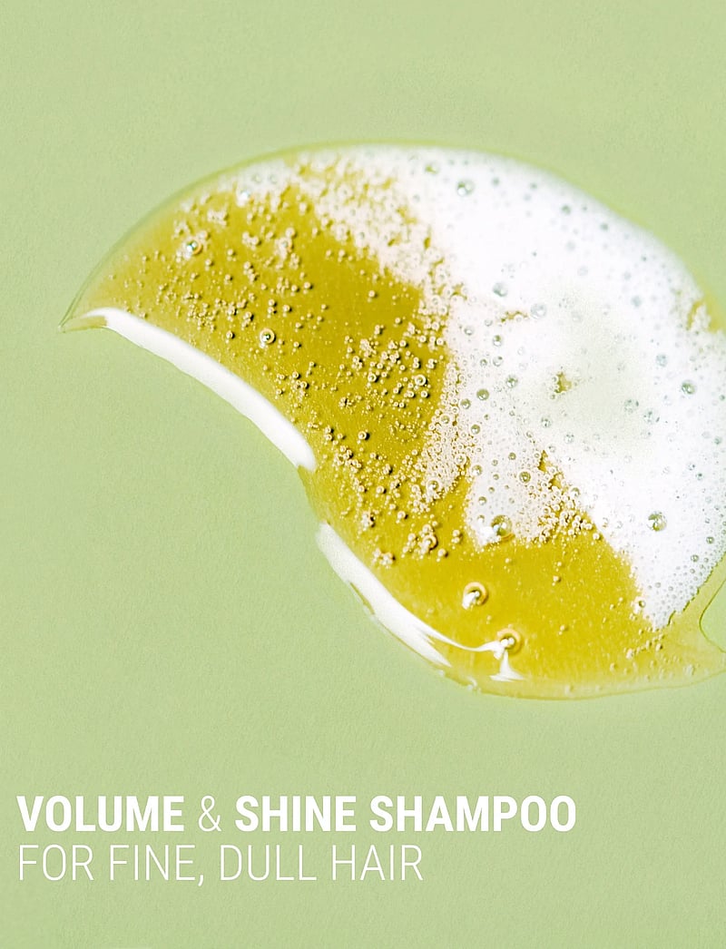 Antipodes - Manuka + Orange Volume & Shine Shampoo - Šampoon - clear - 4