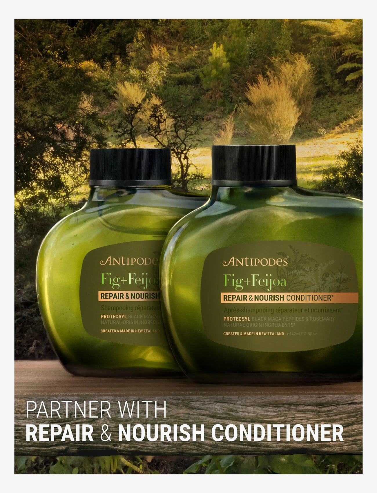 Antipodes - Fig + Feijoa Repair & Nourish Shampoo - Šampoon - clear - 3