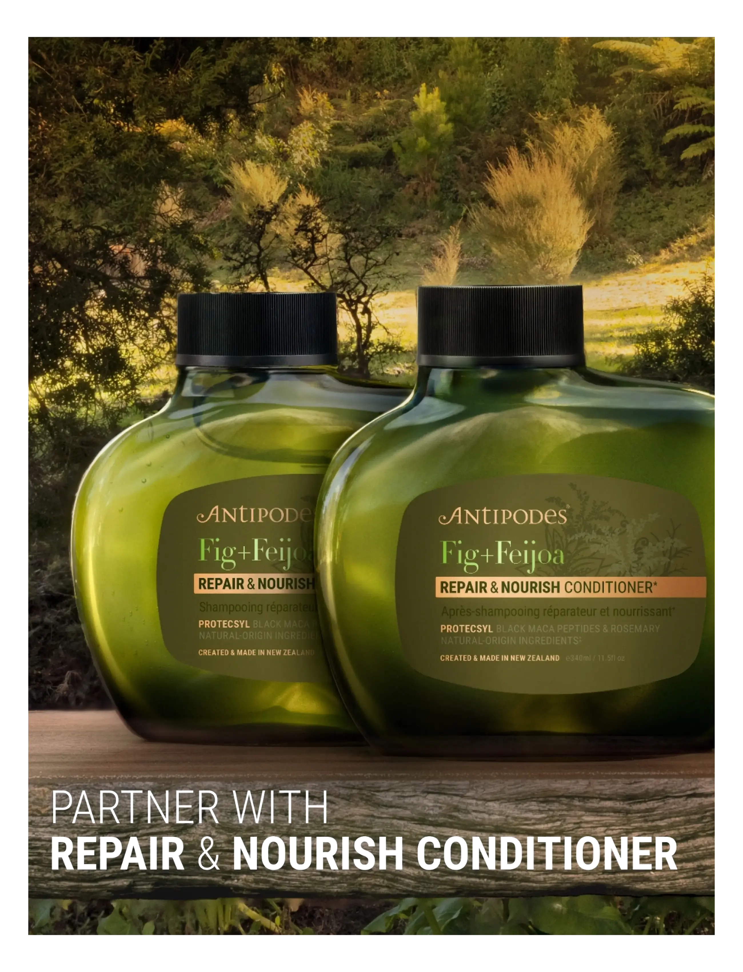 Antipodes - Fig + Feijoa Repair & Nourish Shampoo - shampoo - clear - 3