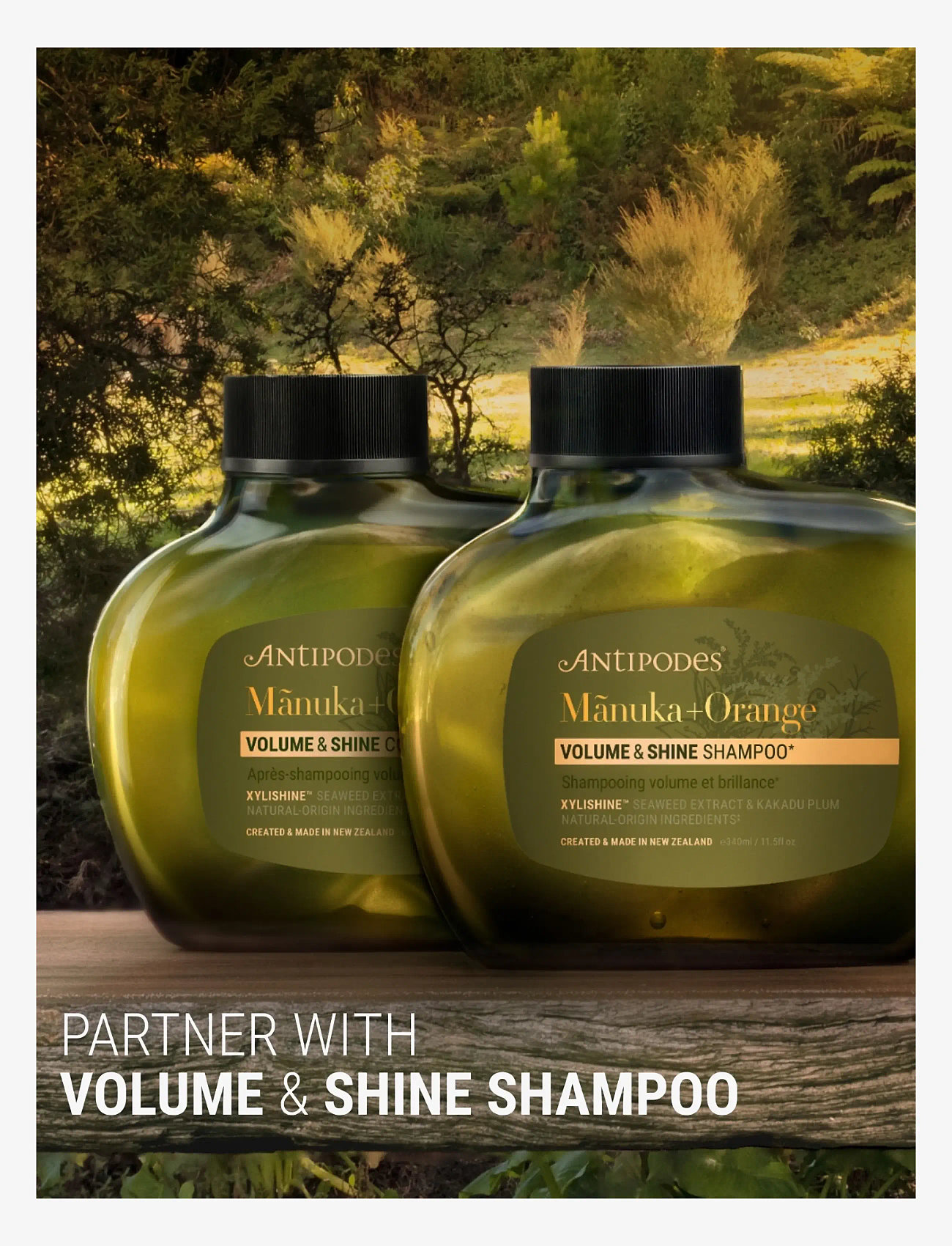 Antipodes - Manuka + Orange Volume & Shine Conditioner - balsam & conditioner - clear - 3