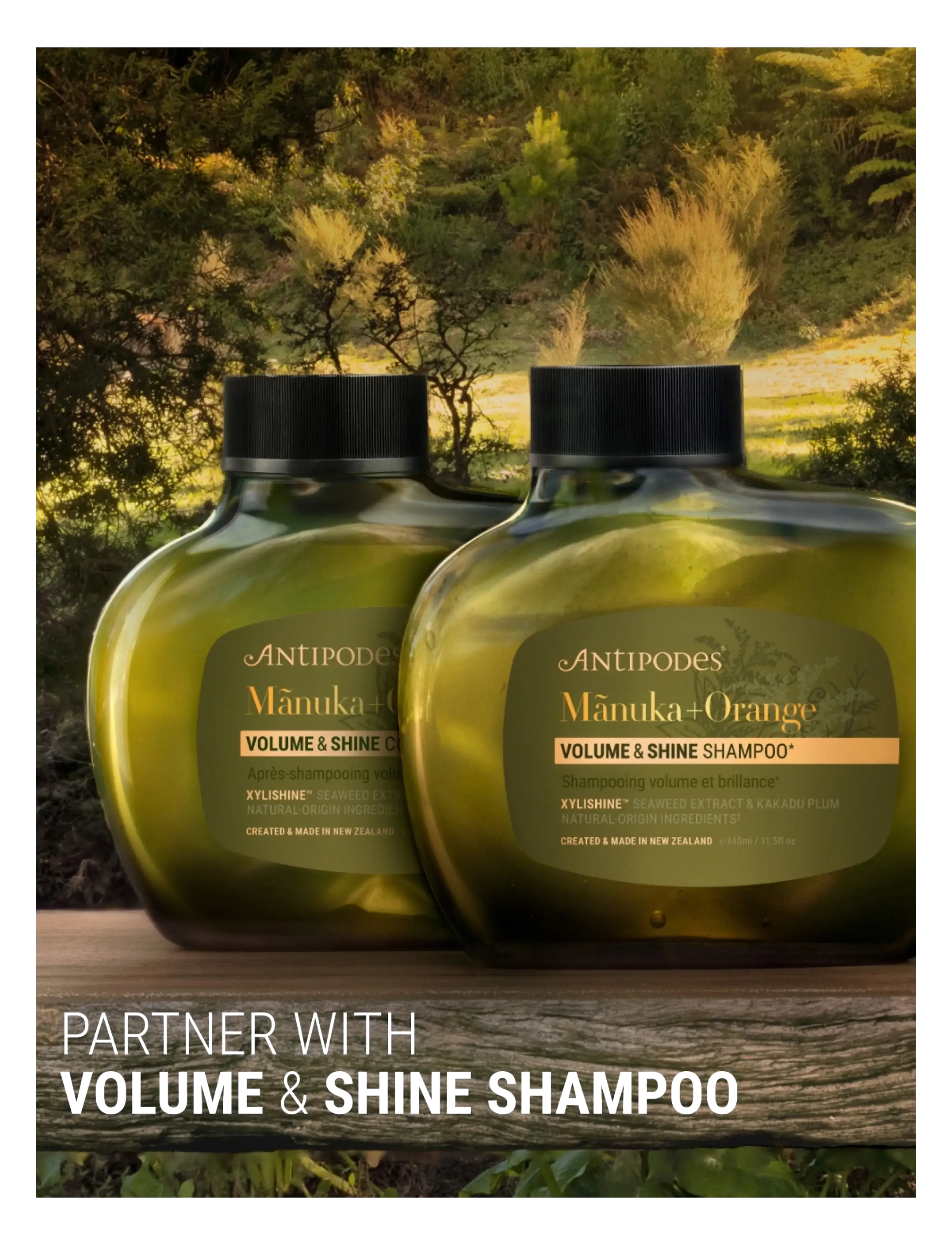 Antipodes - Manuka + Orange Volume & Shine Conditioner - balsam - clear - 3
