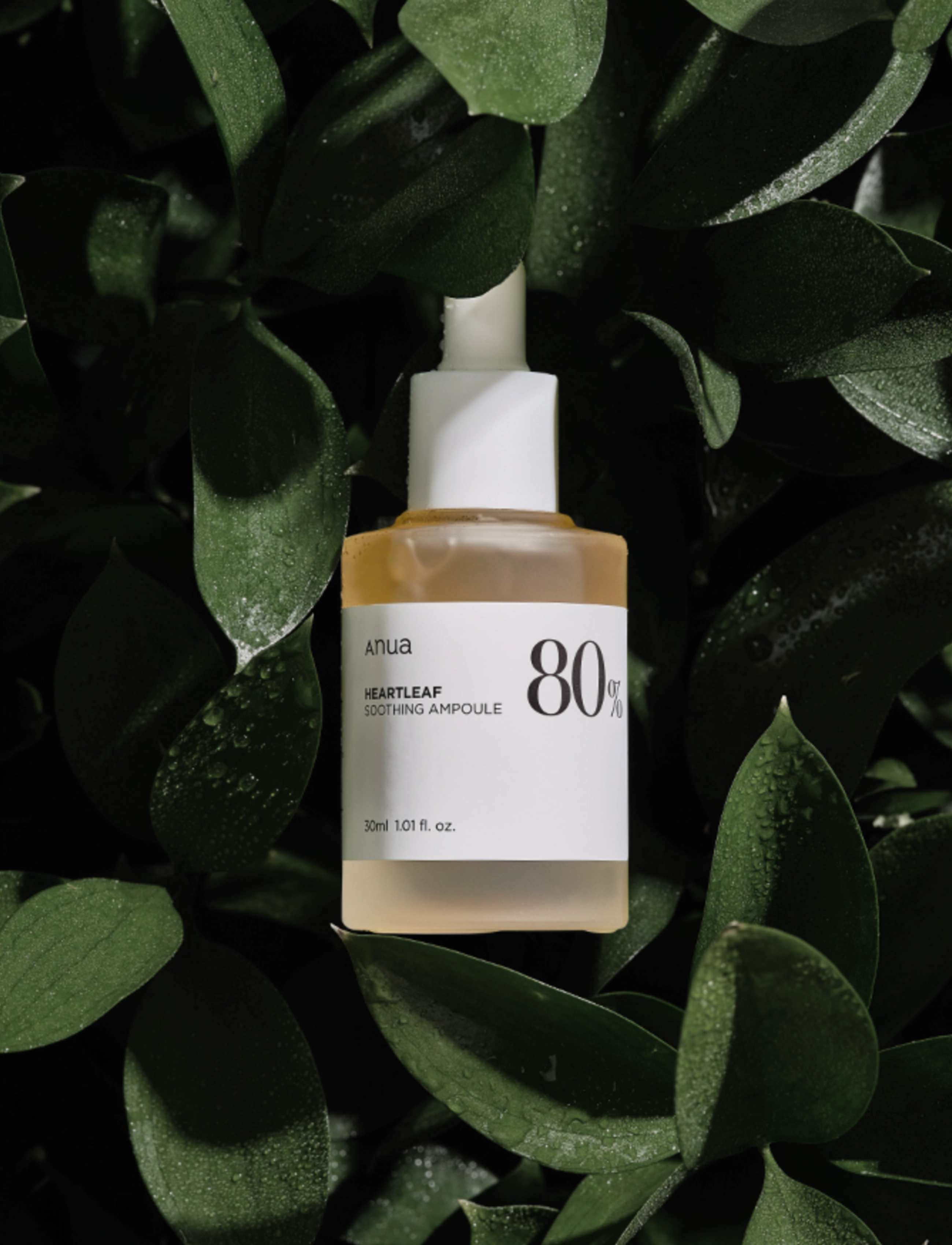 Anua Heartleaf 80% Ampoule serum dam – bild 2