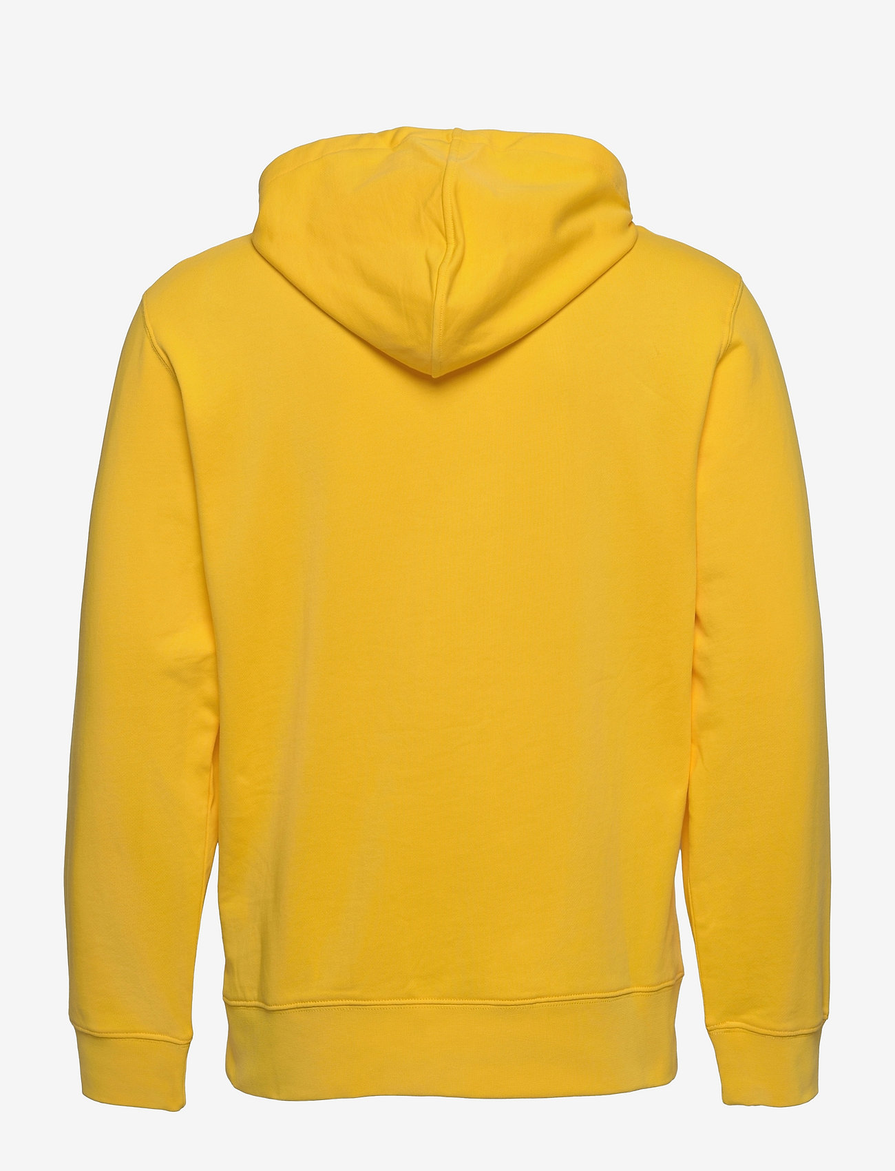 Armani Exchange - 3KZMGL ZJ8MZ - dandelion - 1