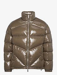 Armani Exchange - DOWN JACKETS - winter jackets - 1784-crocodile - 0
