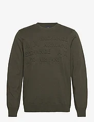 Armani Exchange - PULLOVER - knitted round necks - 1851-rosin - 0