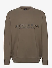 Armani Exchange - SWEATSHIRT - sportiska stila džemperi - 1784-crocodile - 0