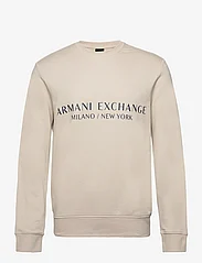 Armani Exchange - SWEATSHIRTS - svetarit - 1934-silver lining - 0
