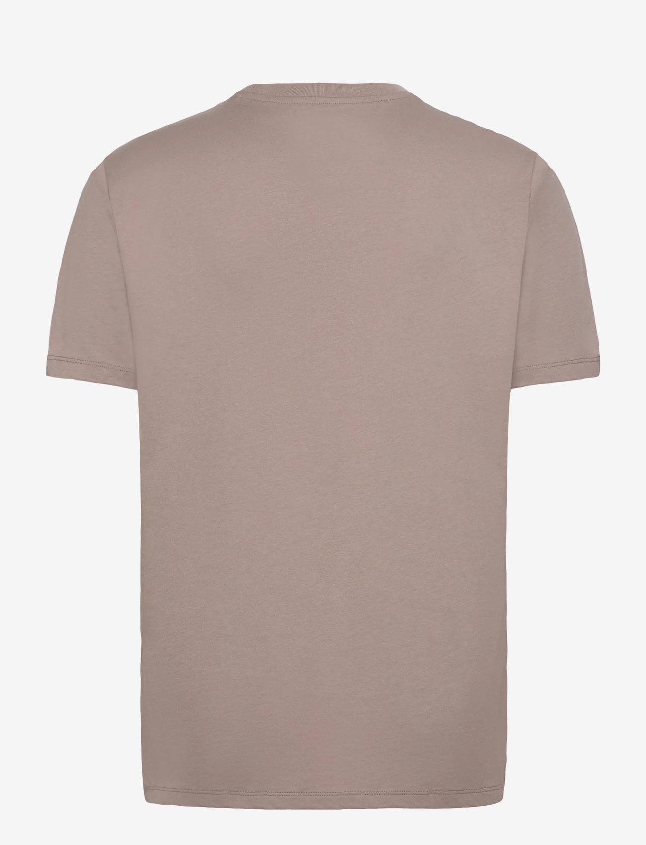 Armani Exchange - T-SHIRT - kortærmede t-shirts - driftwood - 1