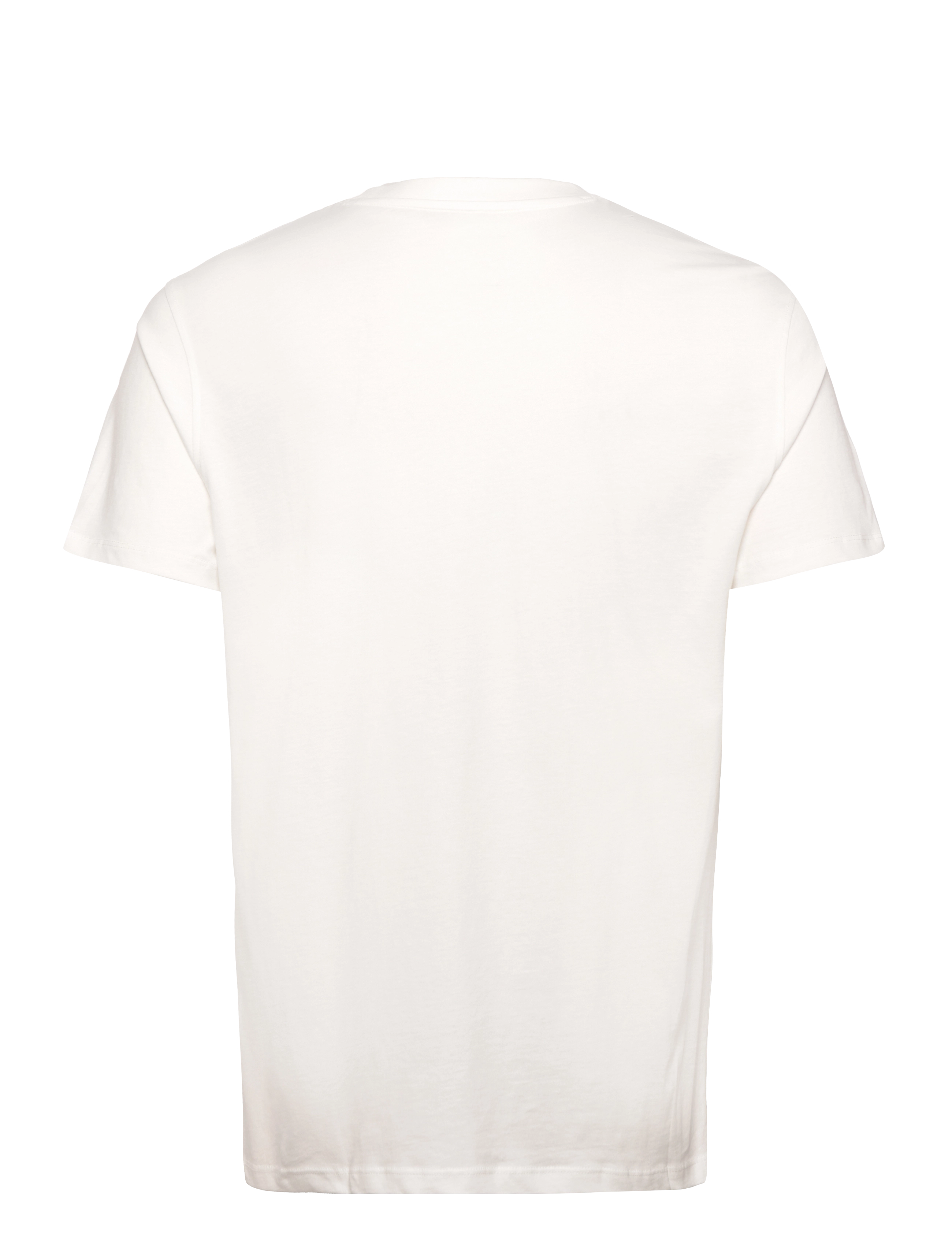 Armani Exchange - T-SHIRT - kortärmade t-shirts - off white - 1