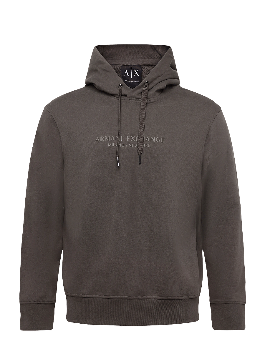 Armani Exchange - SWEATSHIRT - kapuzenpullover - falcon - 1