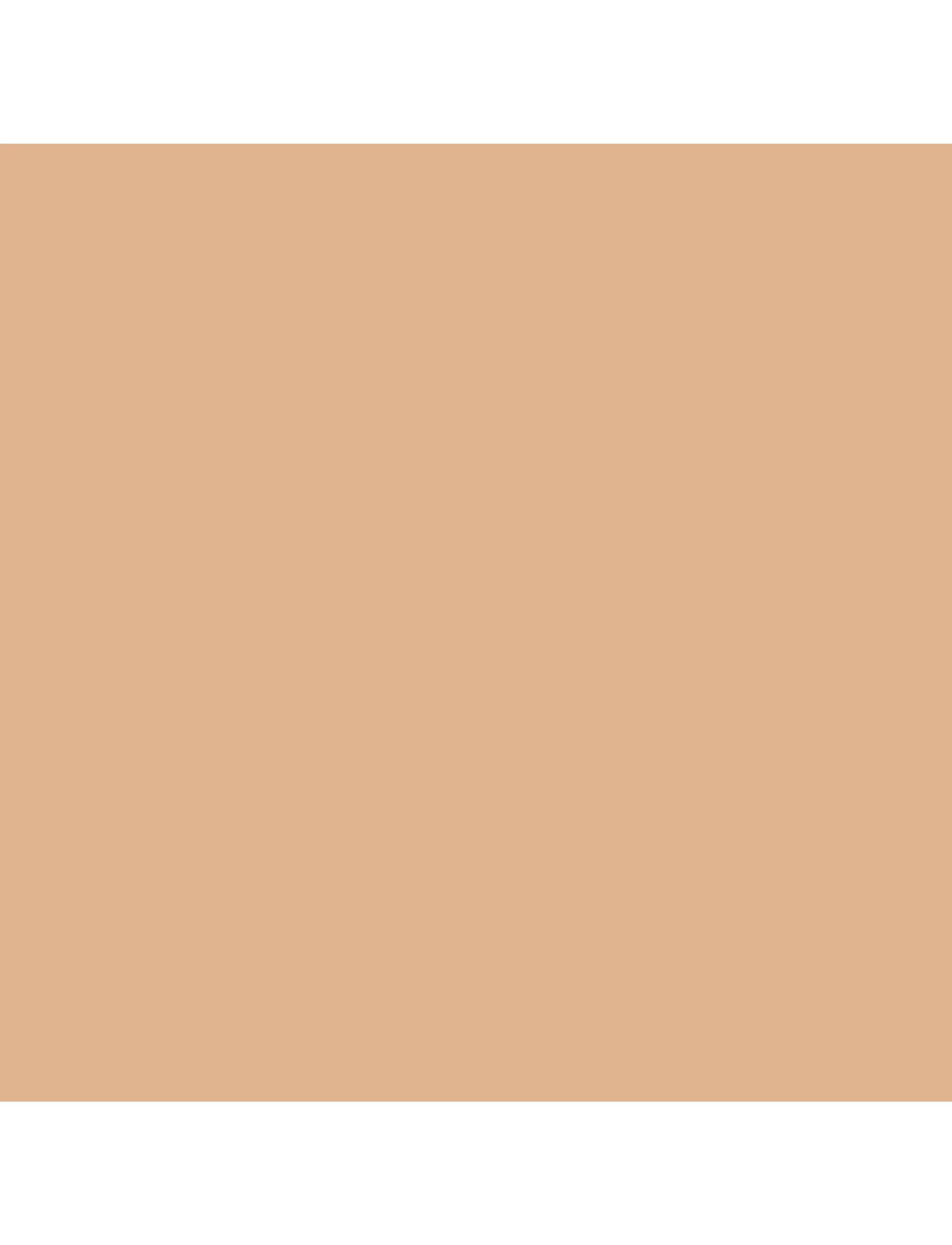 Artdeco - Perfect Matte Serum Foundation - smink - 42 natural vanilla - 2