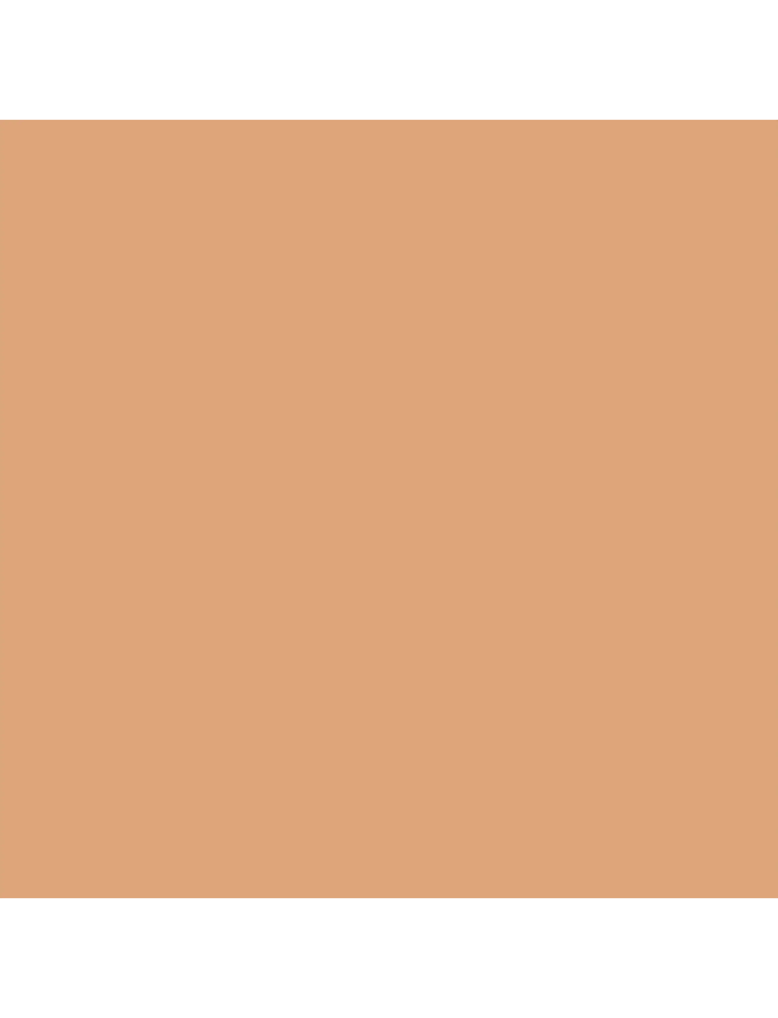 Artdeco - Perfect Matte Serum Foundation - smink - 70 soft velvet - 2
