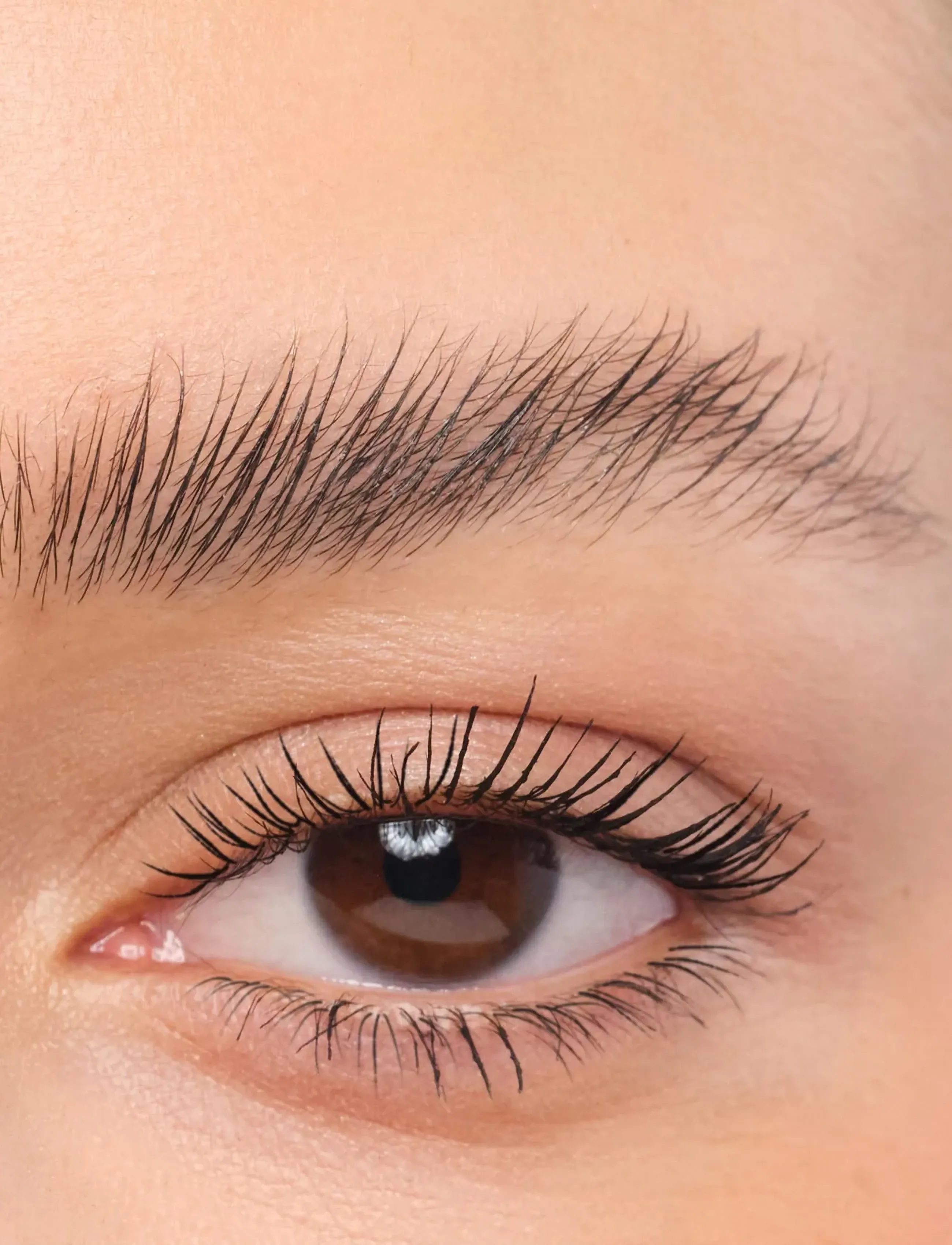 Artdeco - Brow Lift Lamination - Øjne & bryn - 01 clear - 2