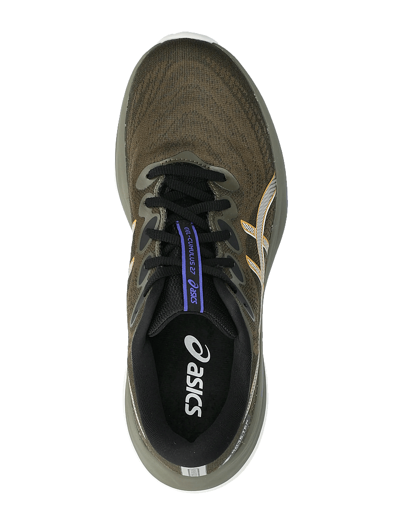 Asics - GEL-CUMULUS 27 GTX - shoes - brown stone/whisper green - 3