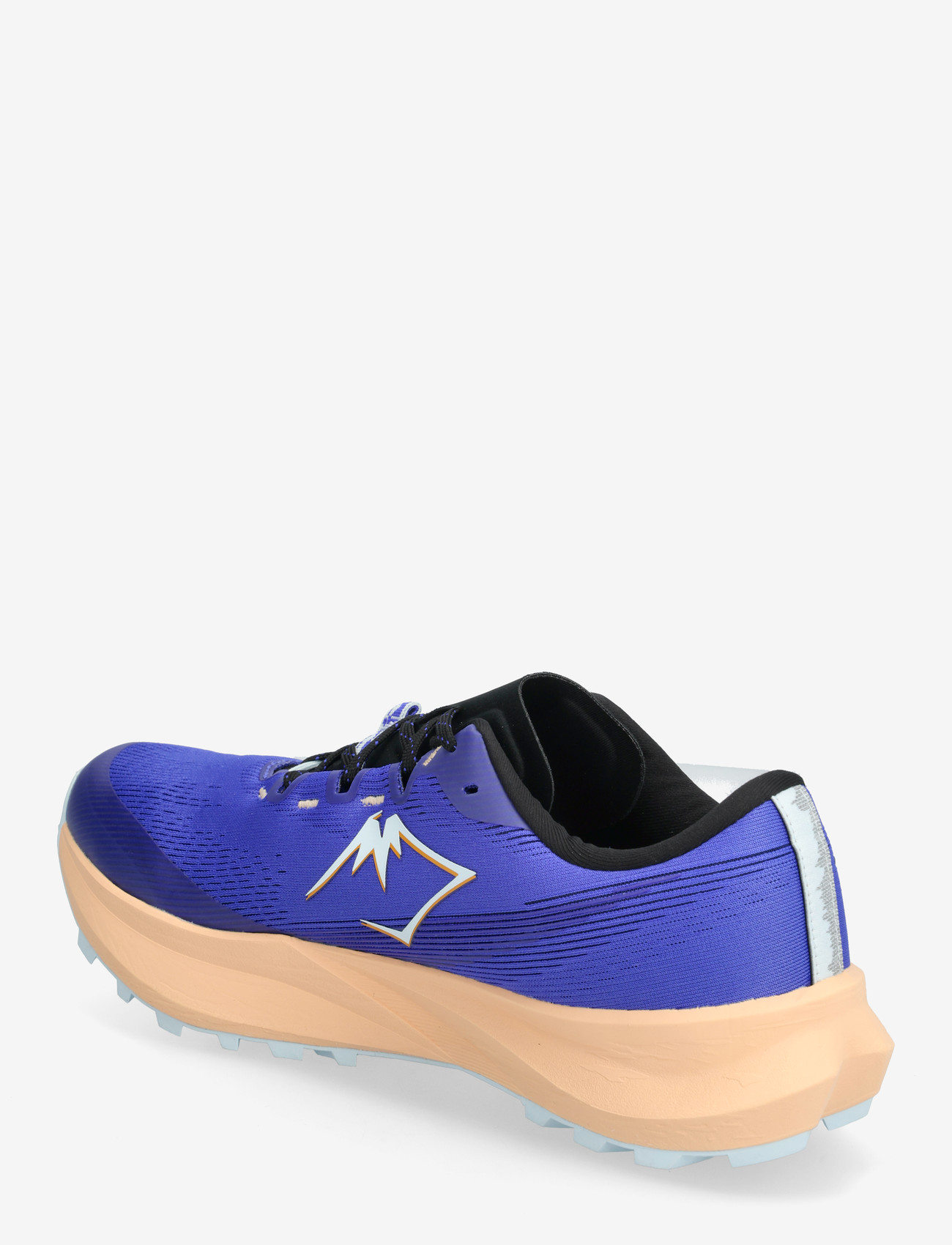 Asics - Fuji Lite 6 - shoes - cobalt burst/cool grey - 2