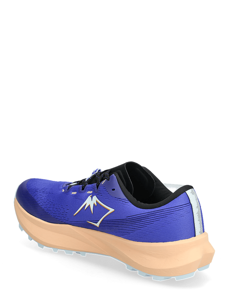 Asics - Fuji Lite 6 - shoes - cobalt burst/cool grey - 2