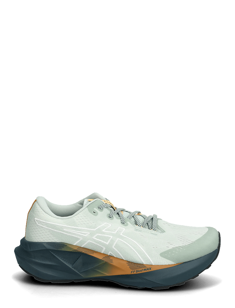 Asics - NOVABLAST 5 TR - nature bathing / lichen rock - 1