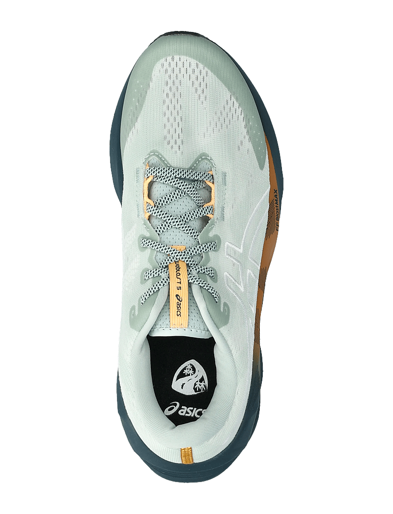 Asics - NOVABLAST 5 TR - nature bathing / lichen rock - 3